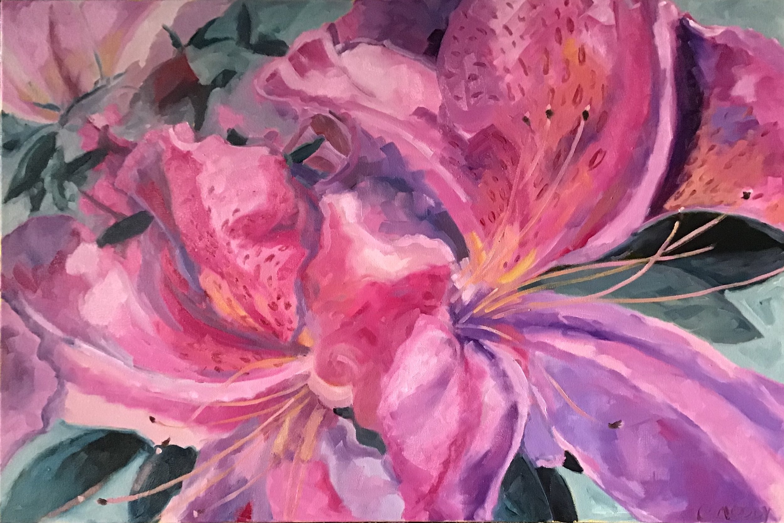 Azaleas