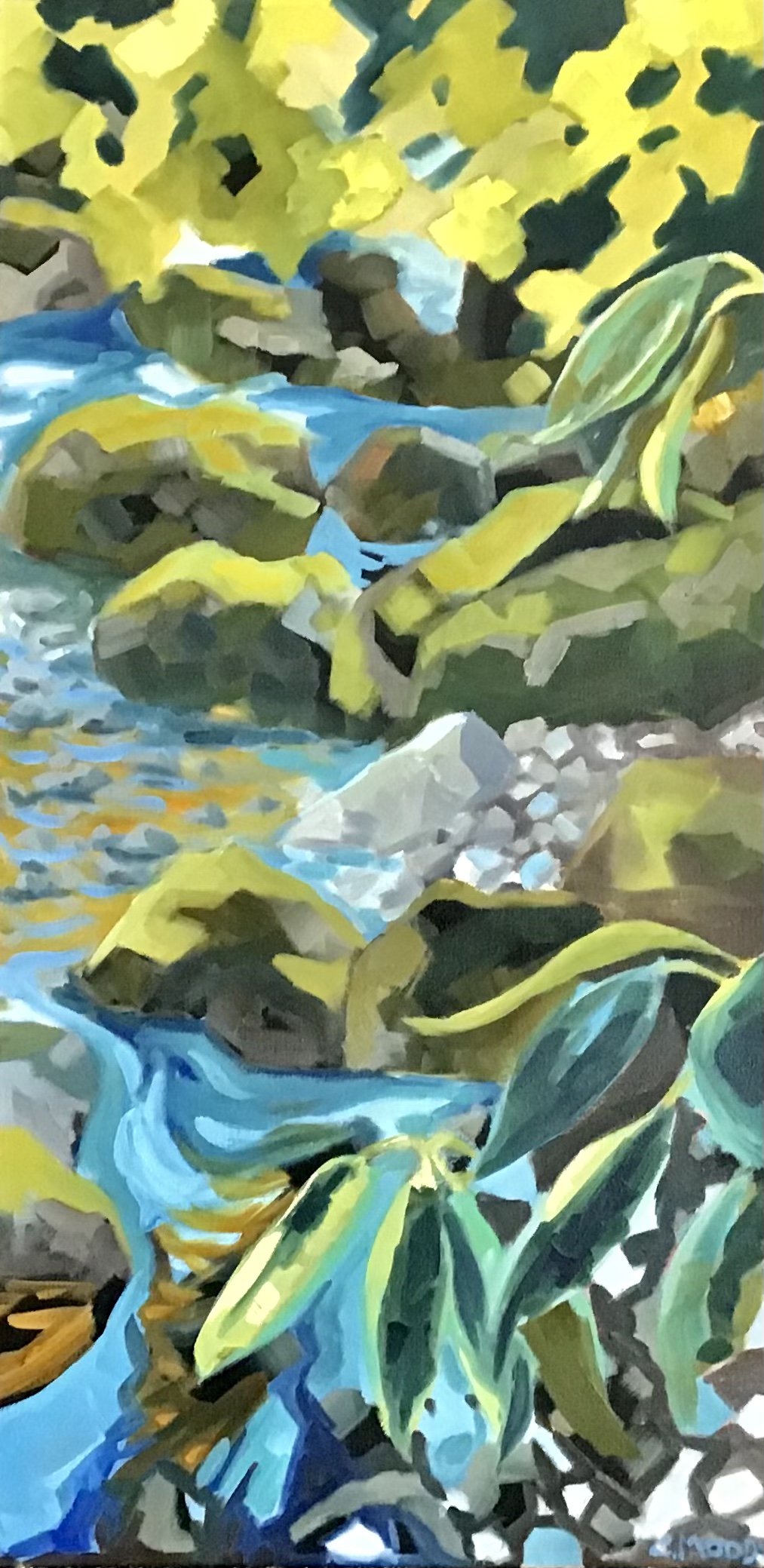 The Secret River