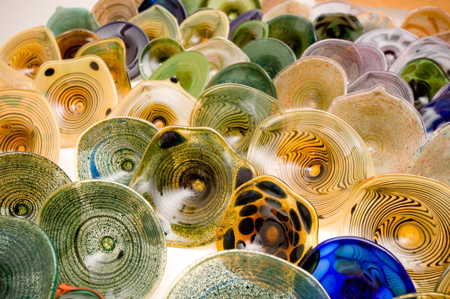 Zollie Glass