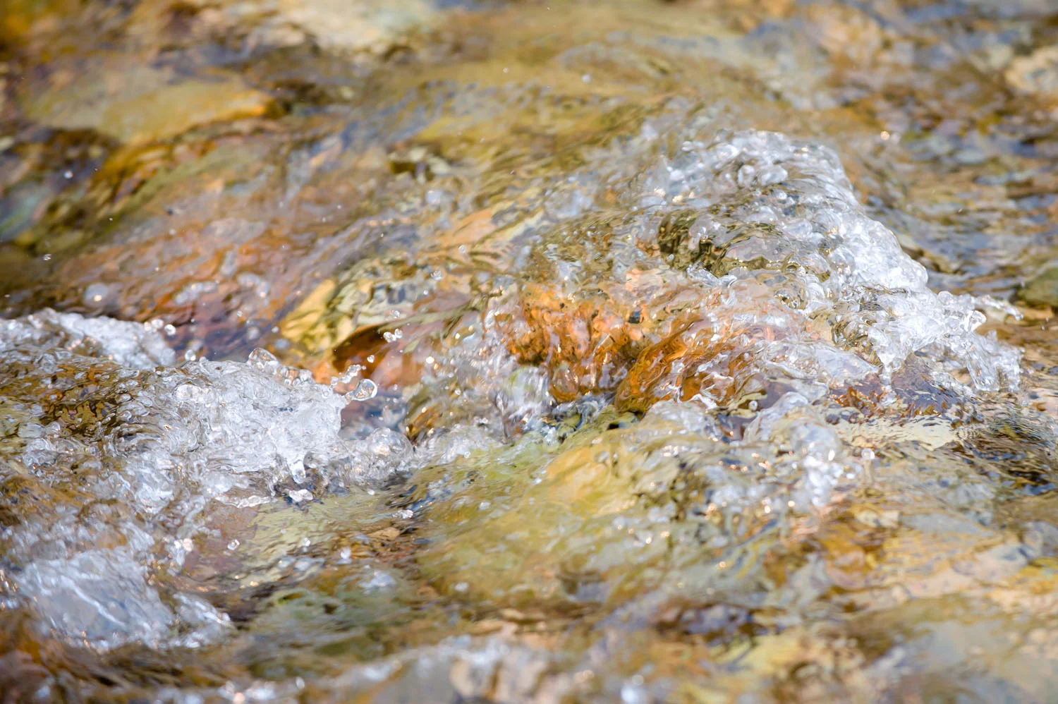 Bitterroot River, Montana