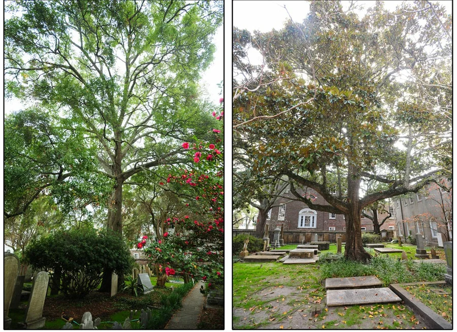 Travel_Writer_Photographer_Charleston_two57.jpg
