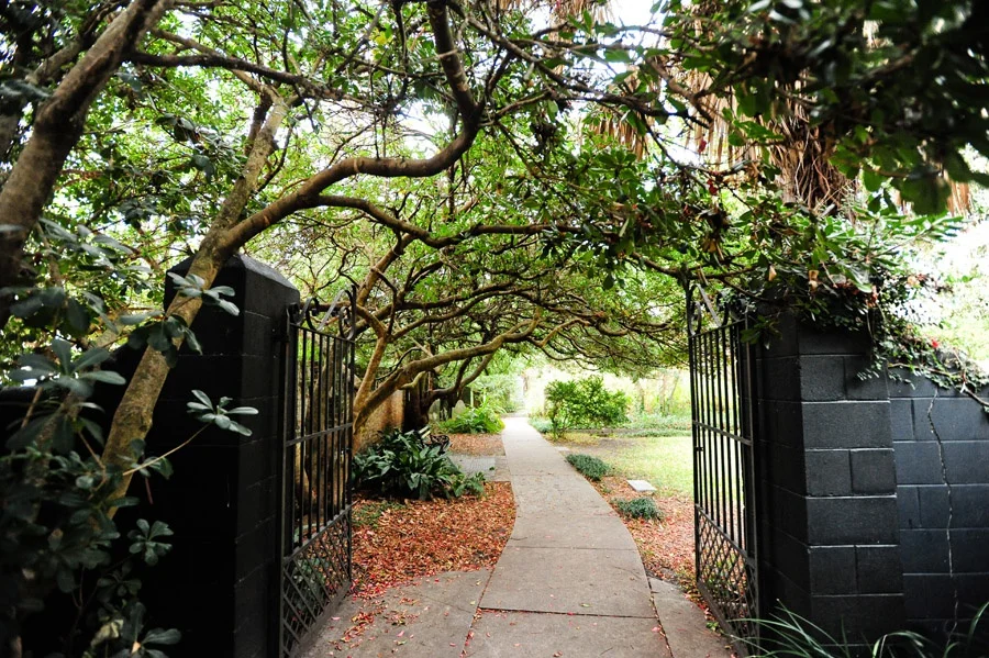Travel_Writer_Photographer_Charleston_two61.jpg