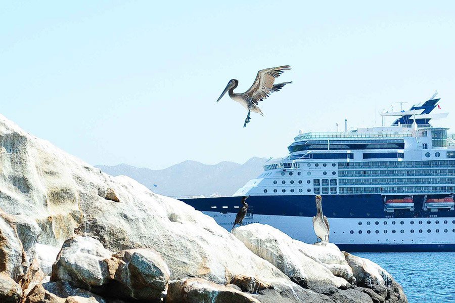 Austin_Travel_Writer_Photographer_Cabo_17.jpg