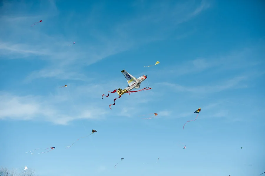 Austin_Travel_Writer_Photographer_Zilker_Kite_Festival_10.jpg