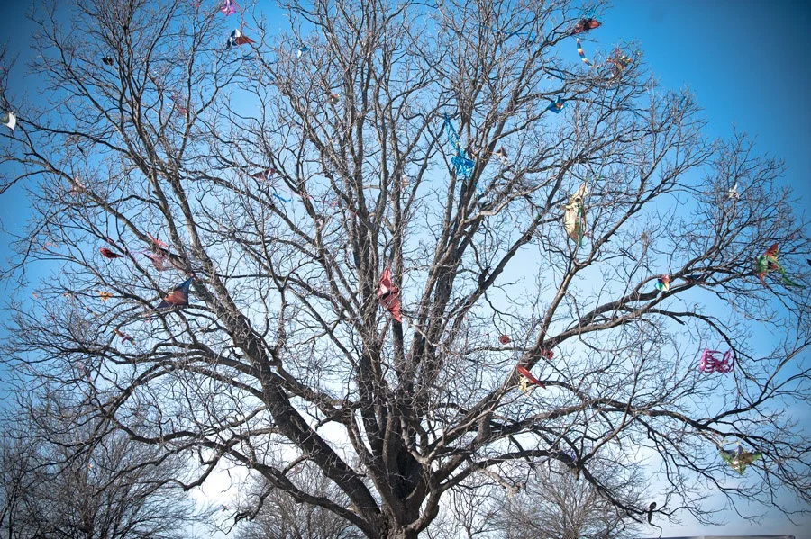 Austin_Travel_Writer_Photographer_Zilker_Kite_Festival_12.jpg