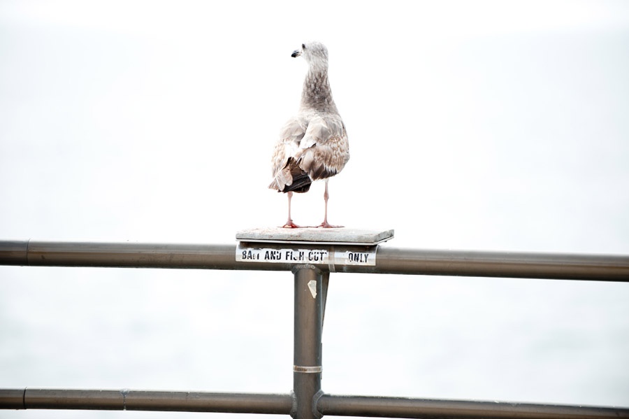 Austin_Travel_Writer_Photographer_Huntington_Beach026.jpg