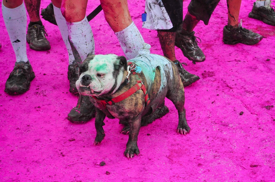 Austin_Travel_Writer_Photographer_Color_Run022.jpg
