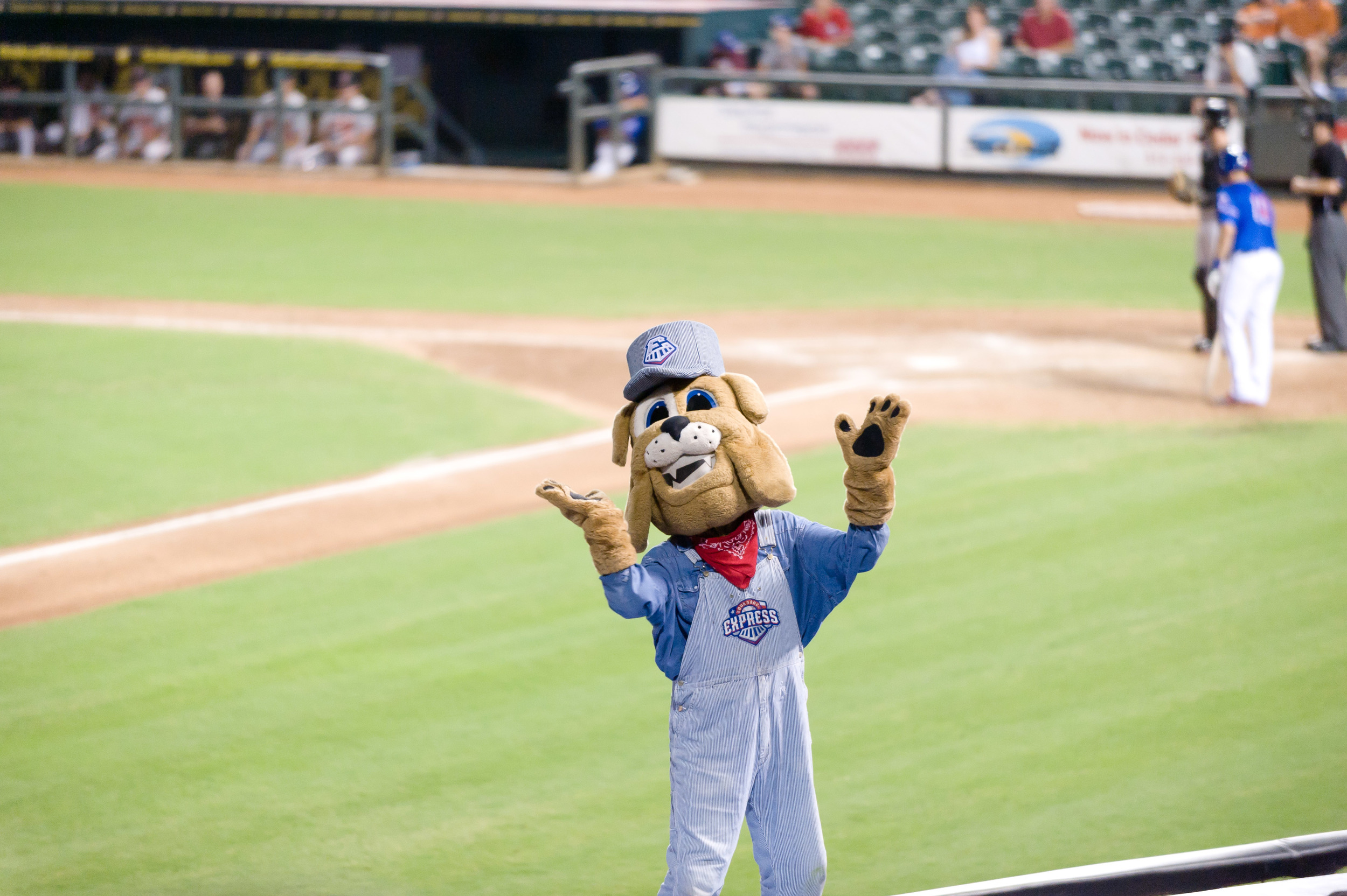DSC_7925.jpg