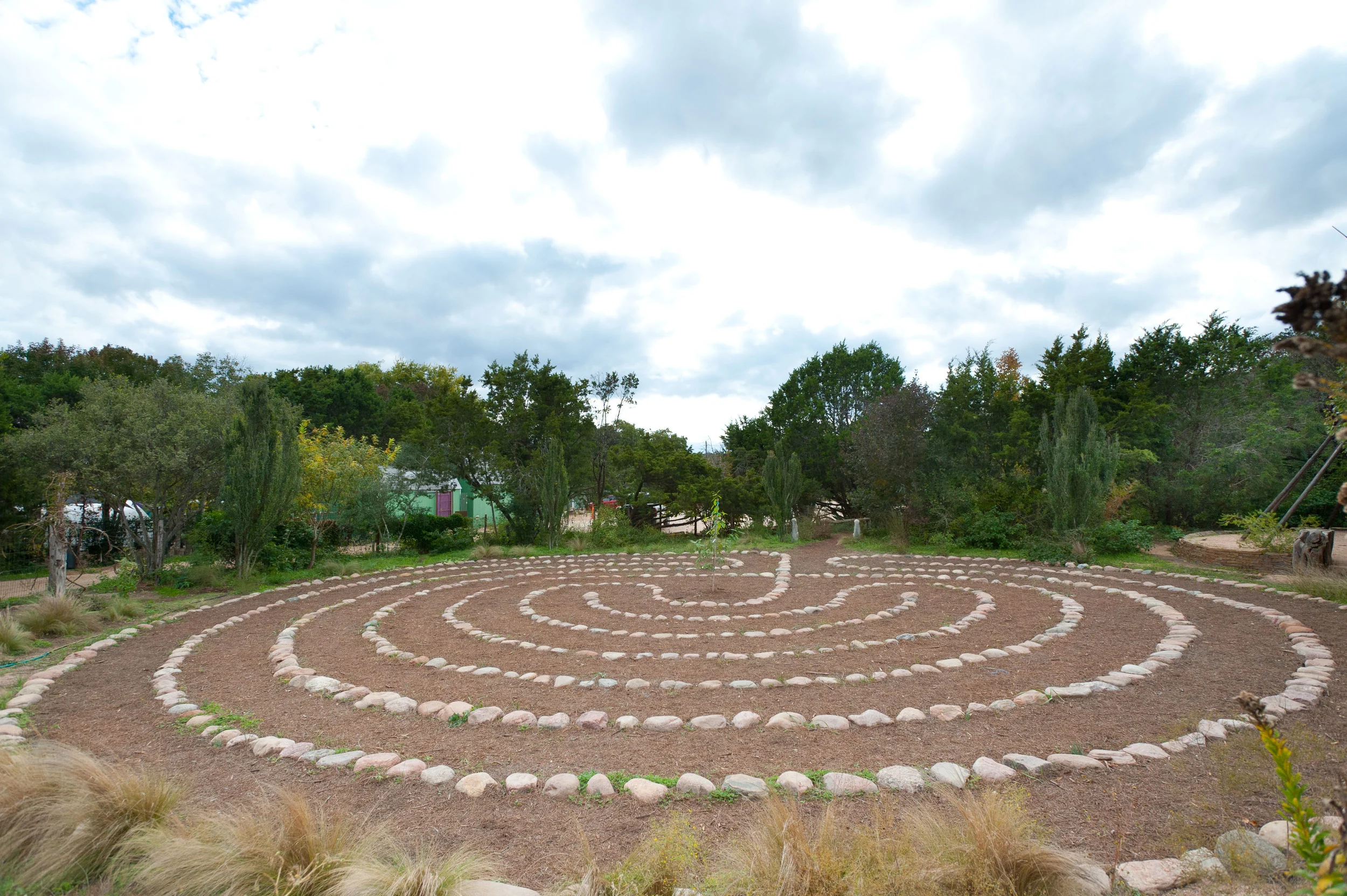 Austin's [not so] Secret Garden