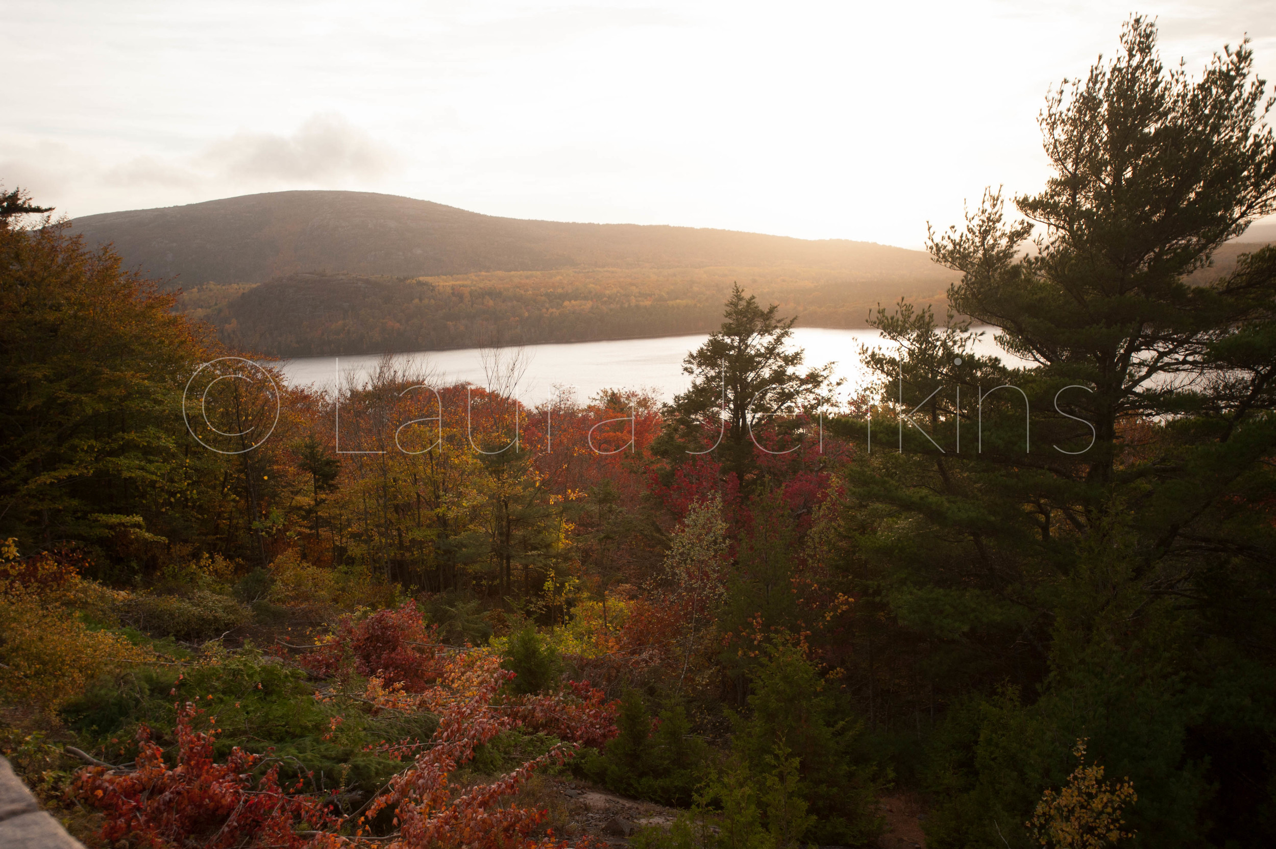 DSC_5189.jpg