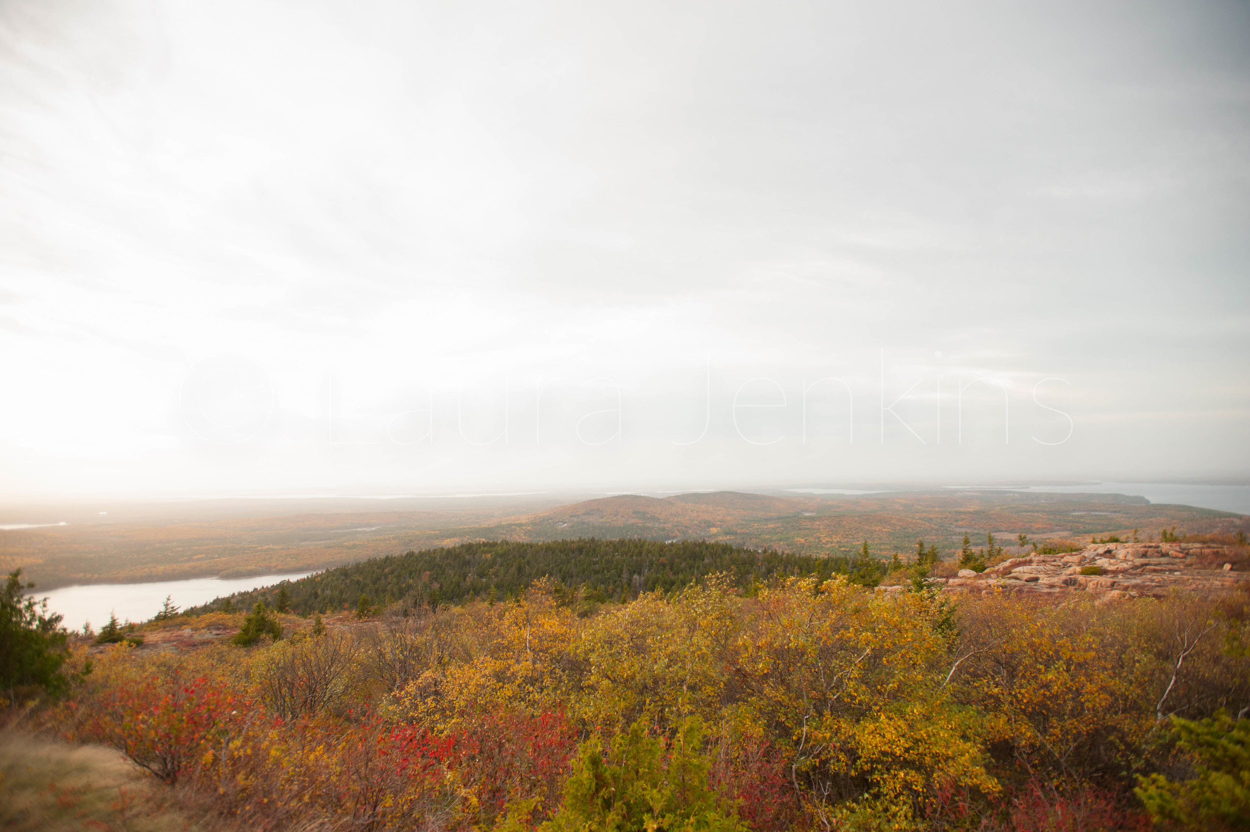 DSC_5195.jpg