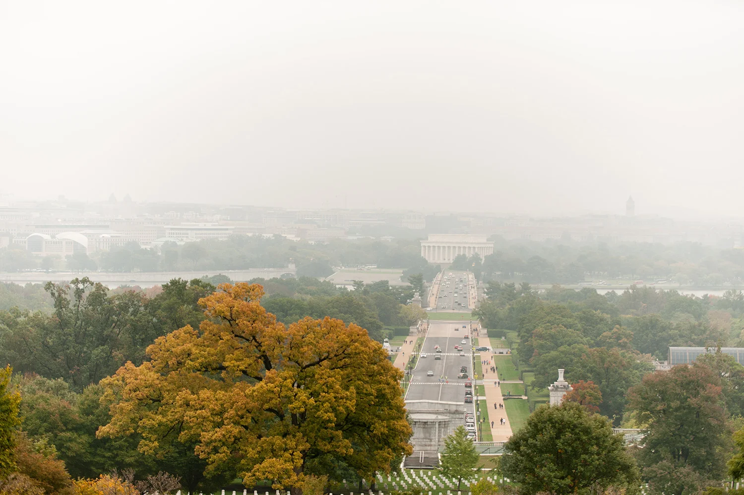DSC_3492.jpg