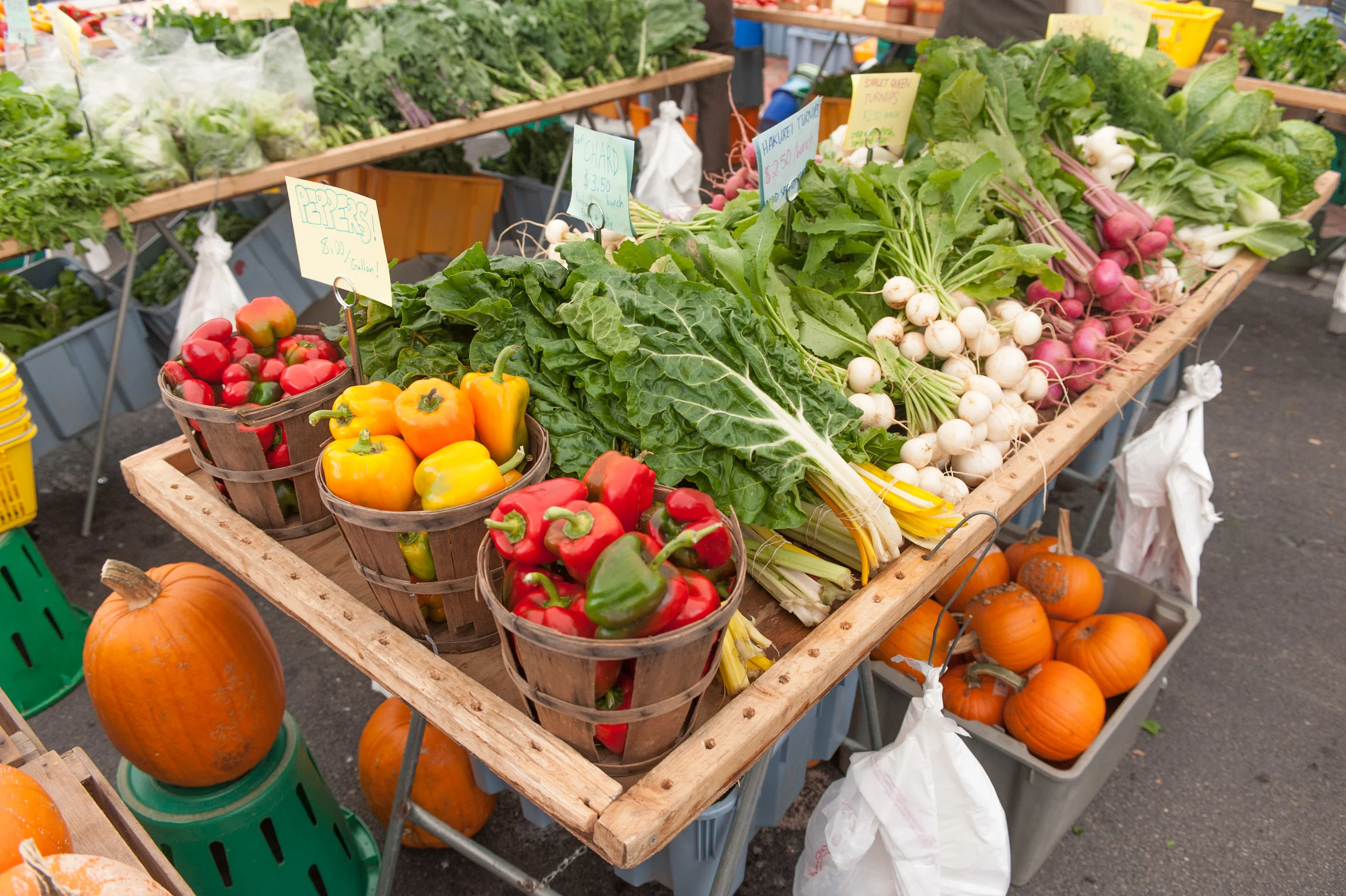 The Bounty of Takoma Park