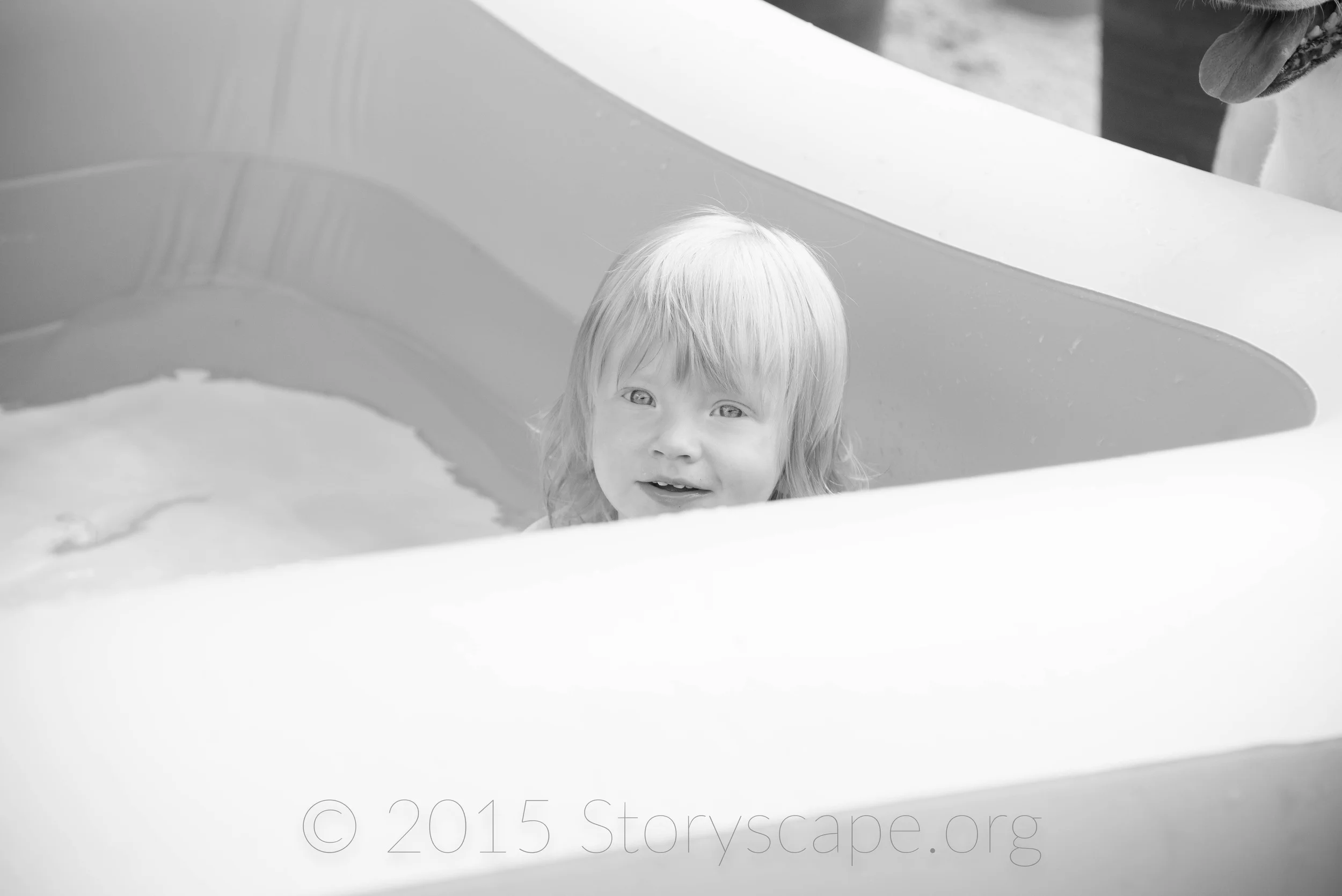 DSC_2370.jpg