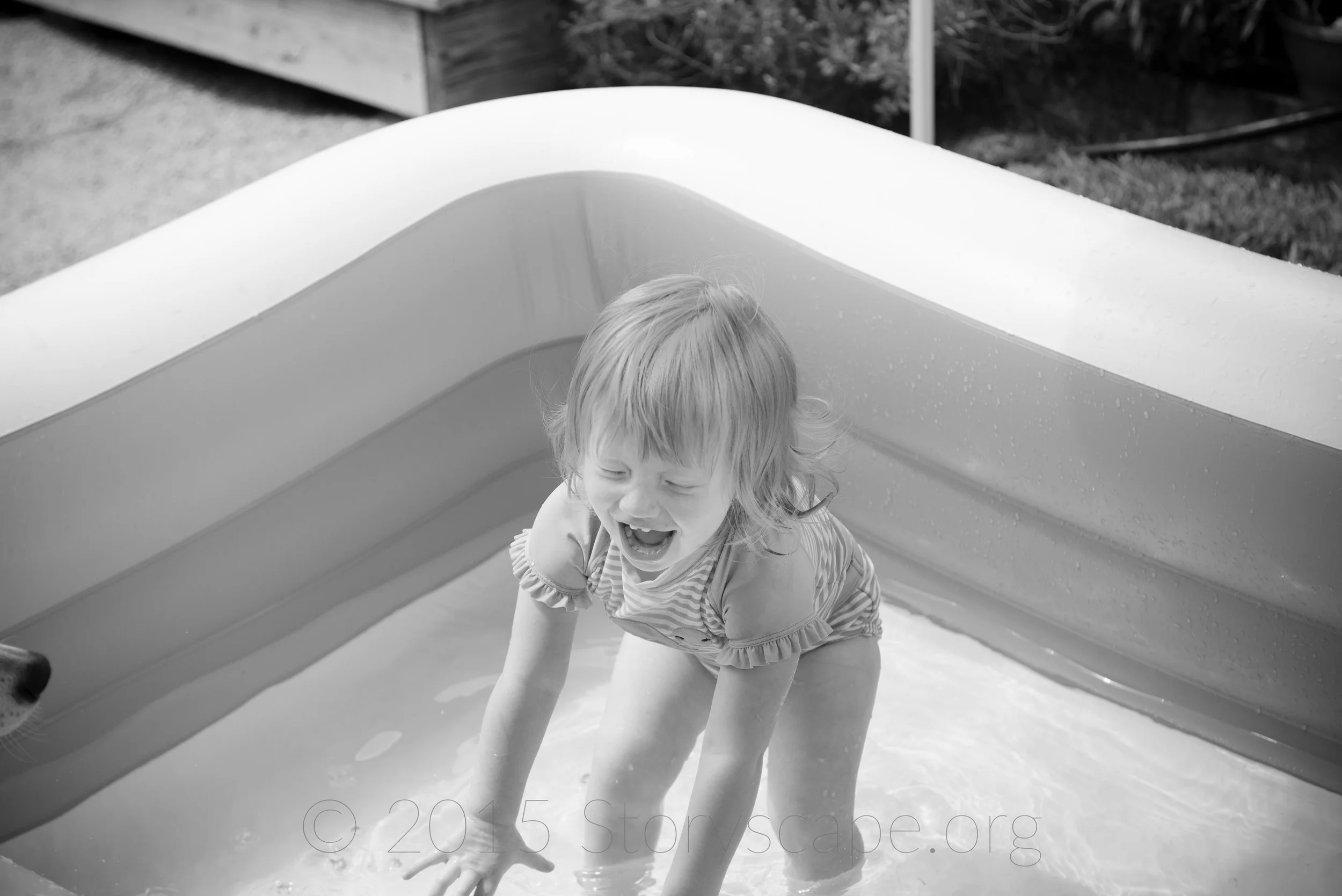 DSC_2382.jpg