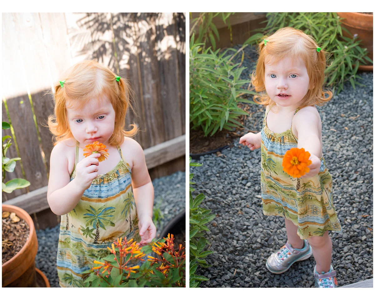 Some of My Favorites