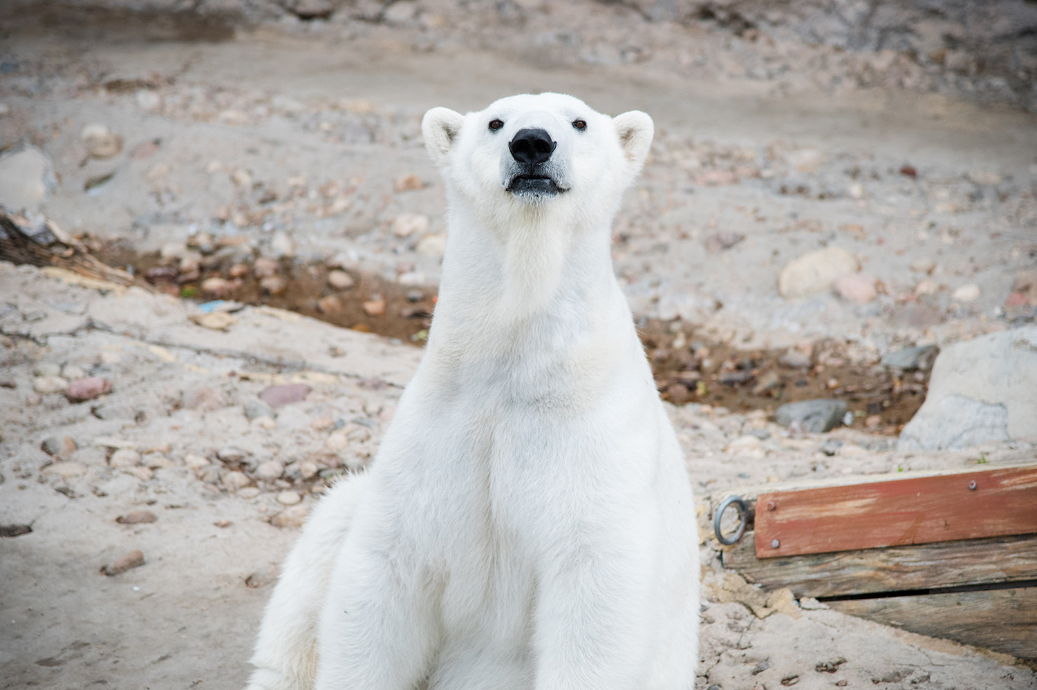 DSC_1222.jpg