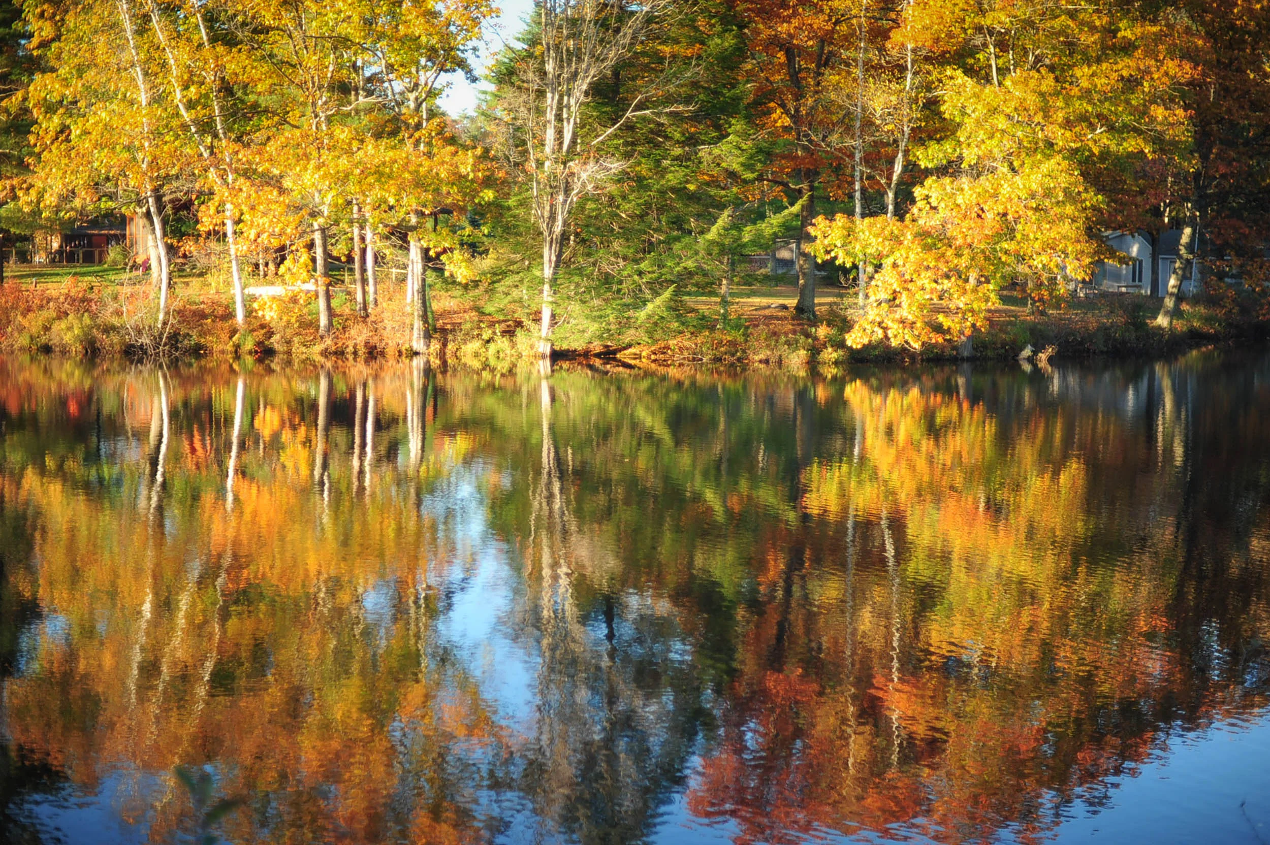 DSC_6150.jpg