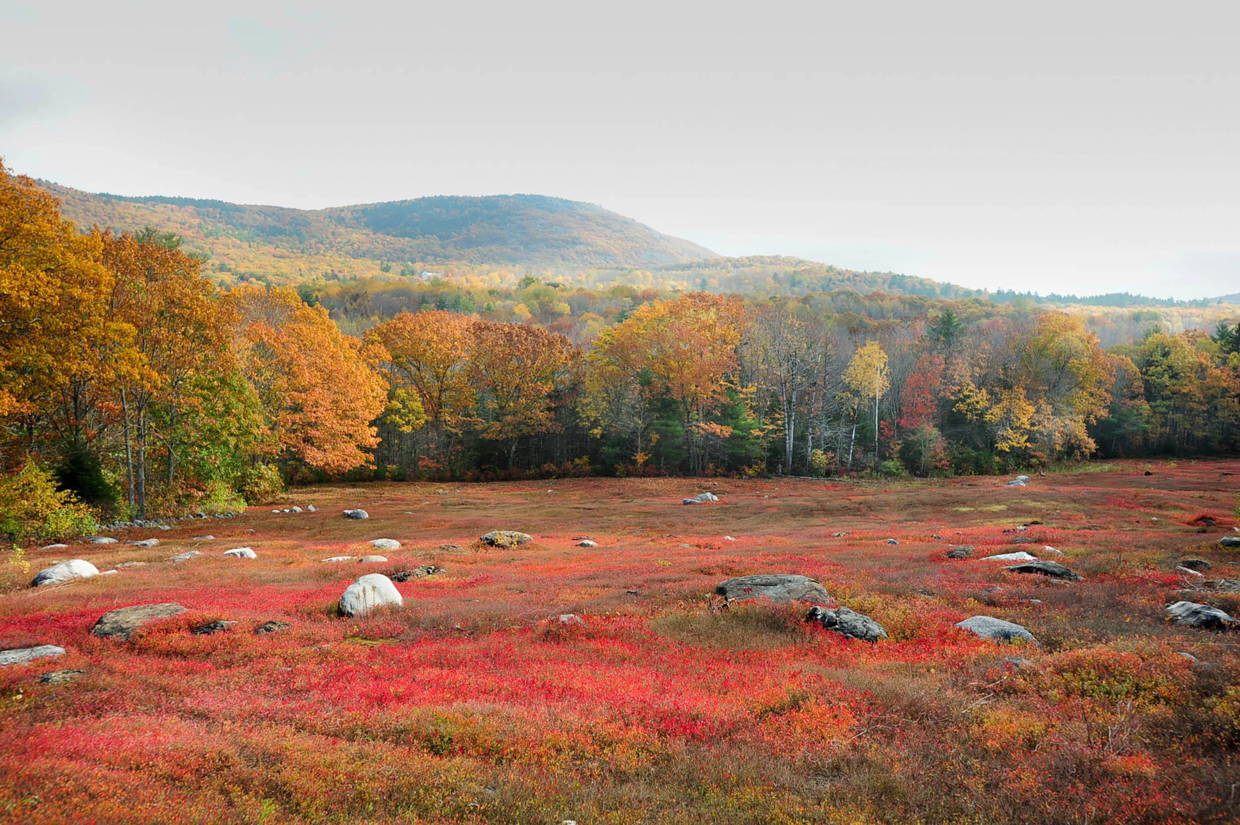 Maine