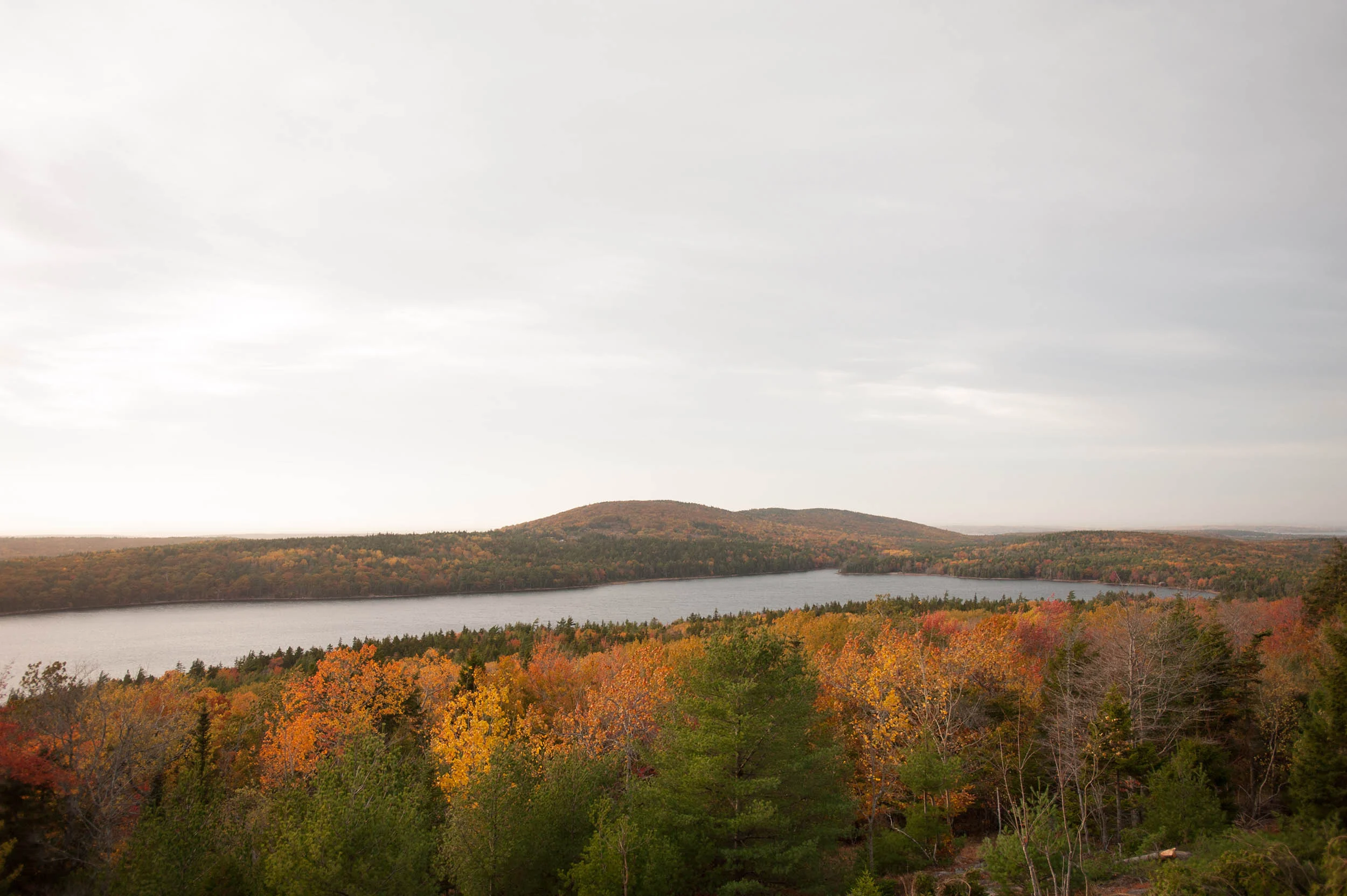 DSC_5183.jpg