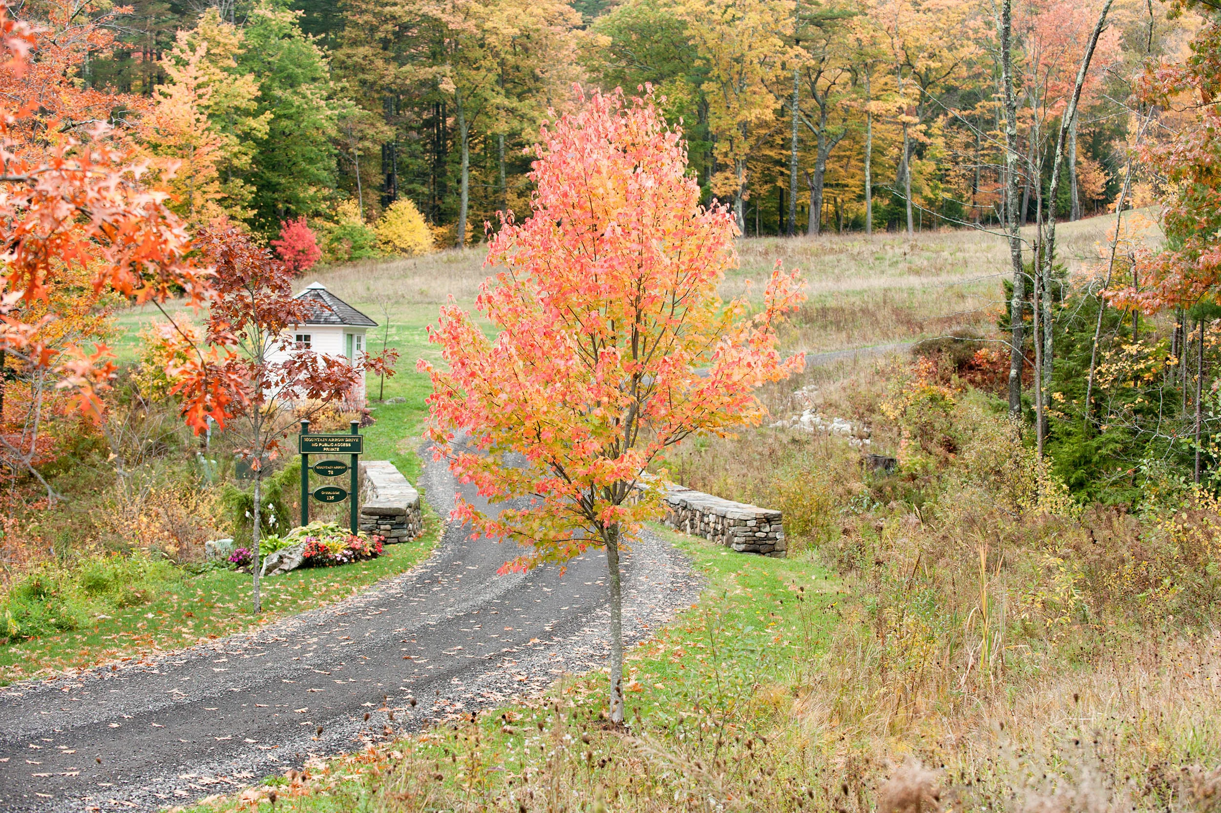 DSC_5404.jpg