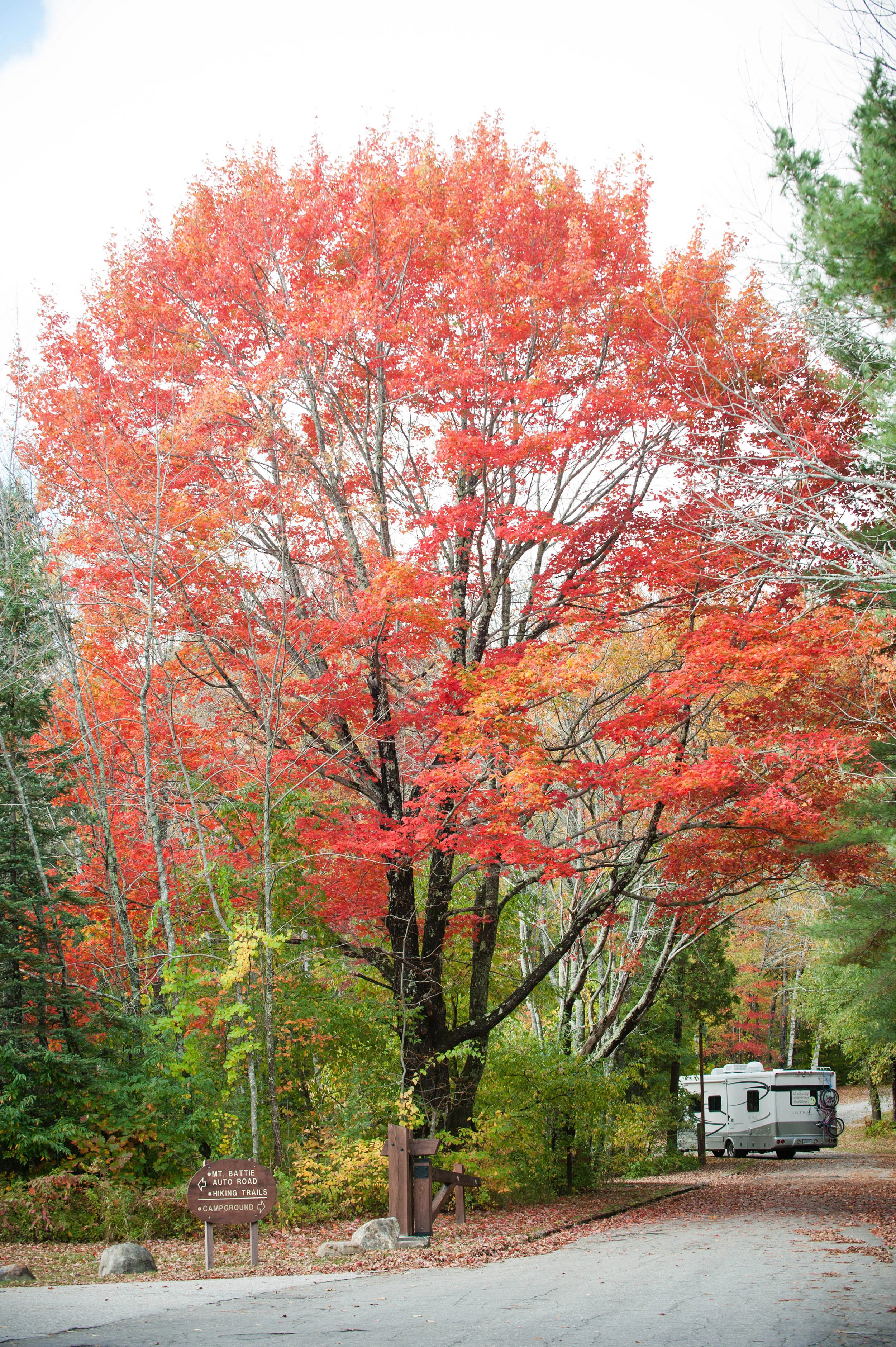 DSC_5638.jpg