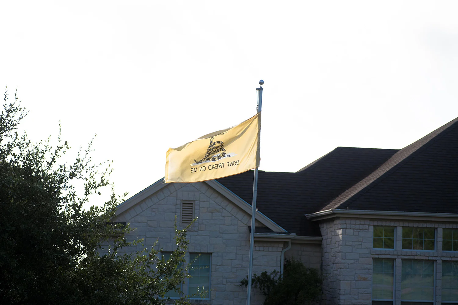 DSC_0021.jpg