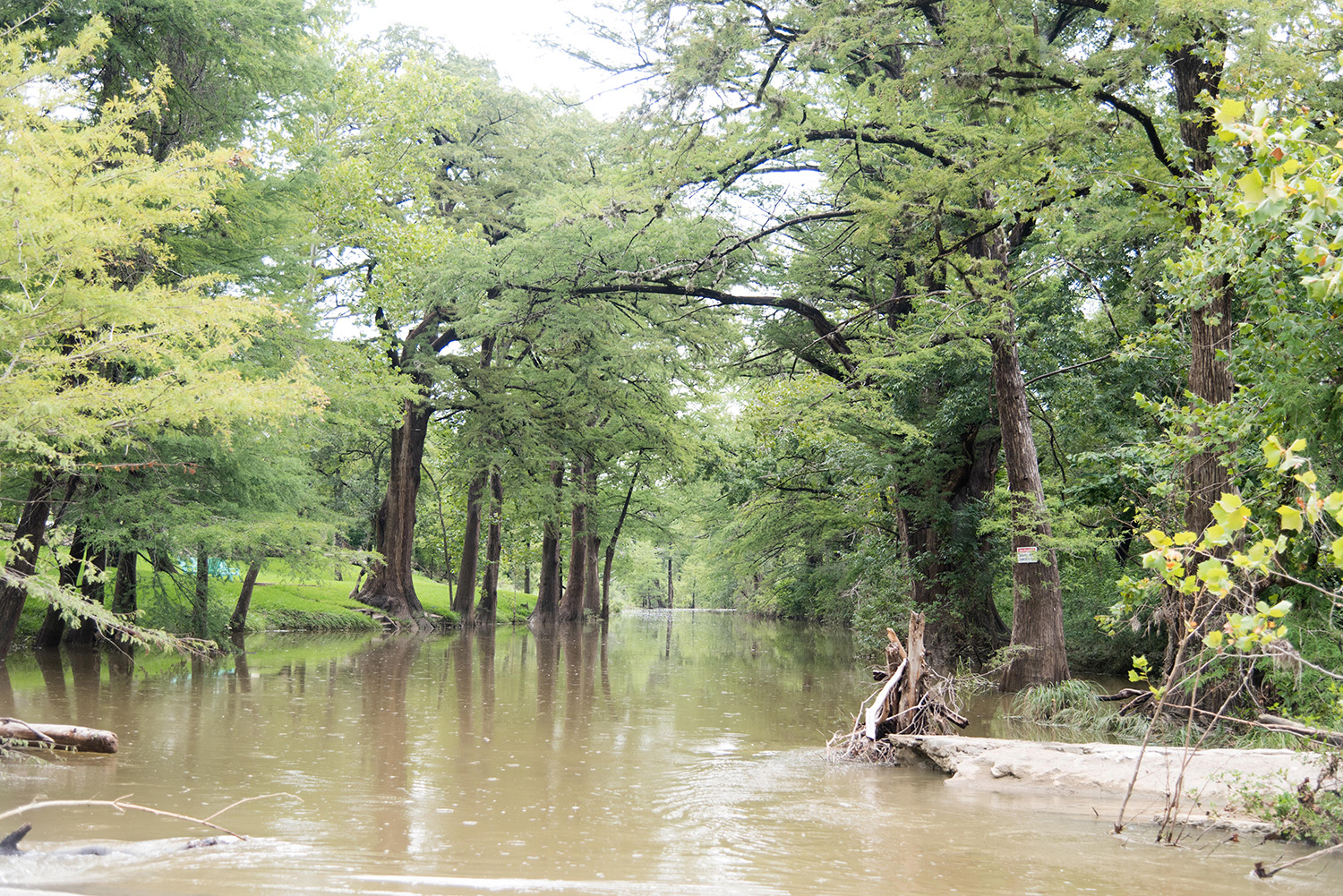 DSC_0502.jpg