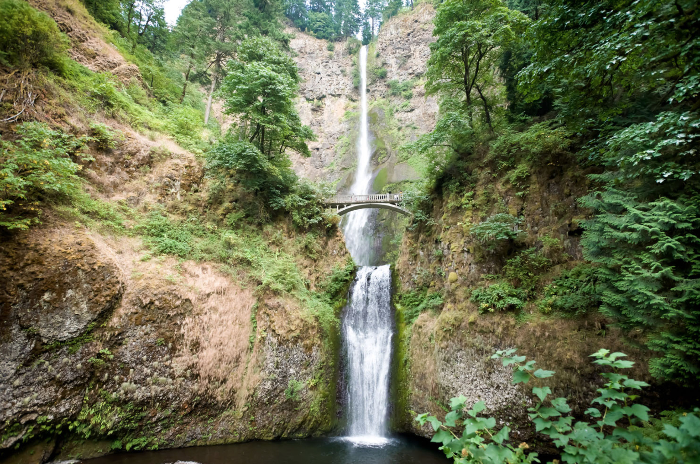 Multnomah Falls, Oregon.