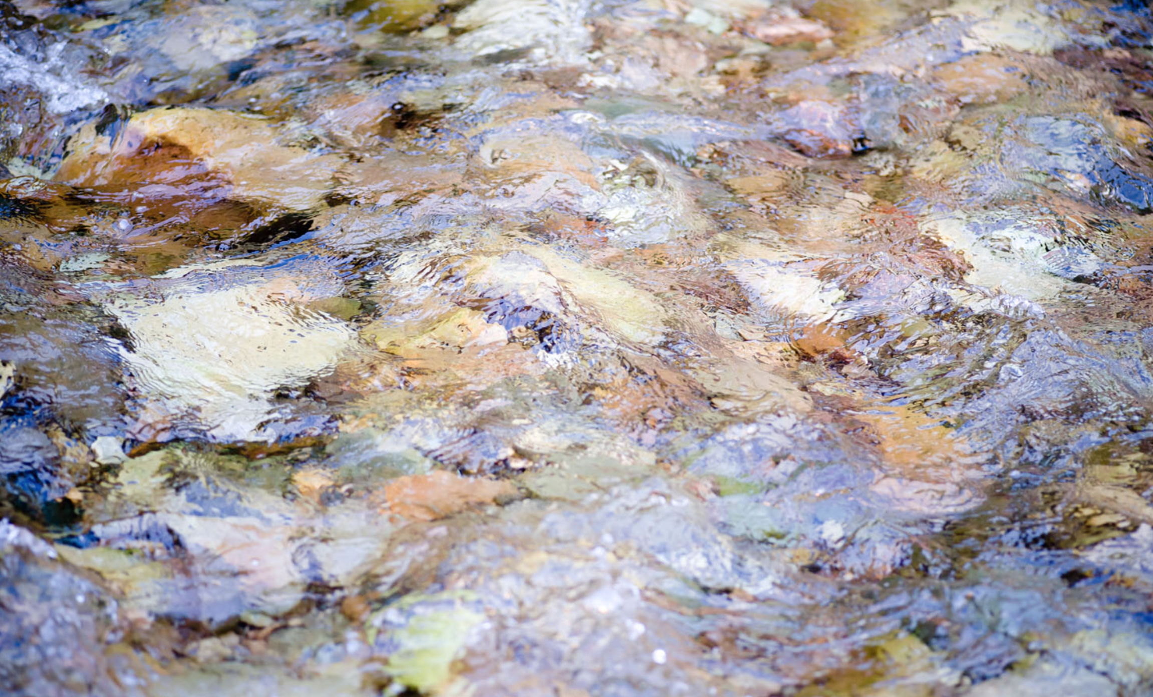 Bitterroot River, Montana