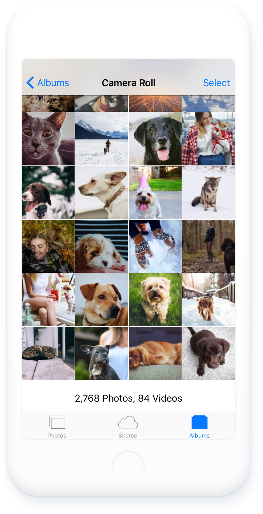 Group Copy 16.png