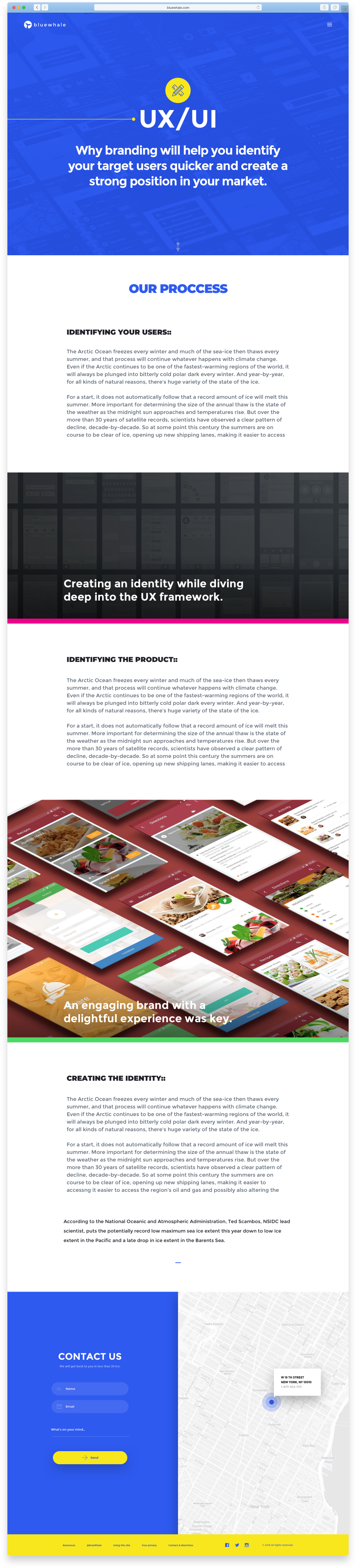 Safari Browser Copy 69.png