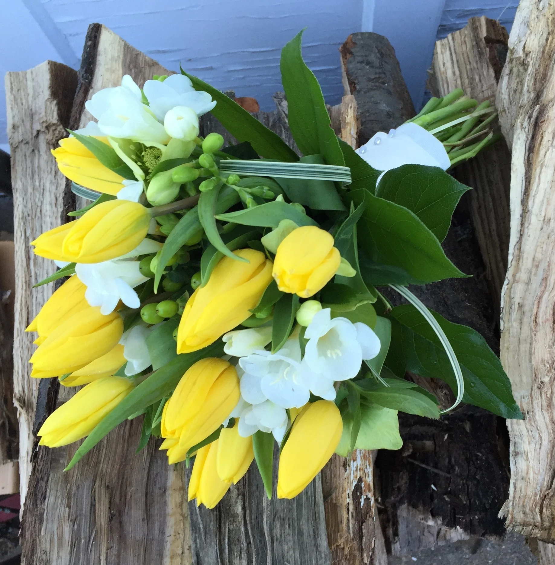 Yellow tulips and white freesia