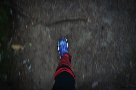 Sometimes leg warmers help get the job done when on the forest trail. 
