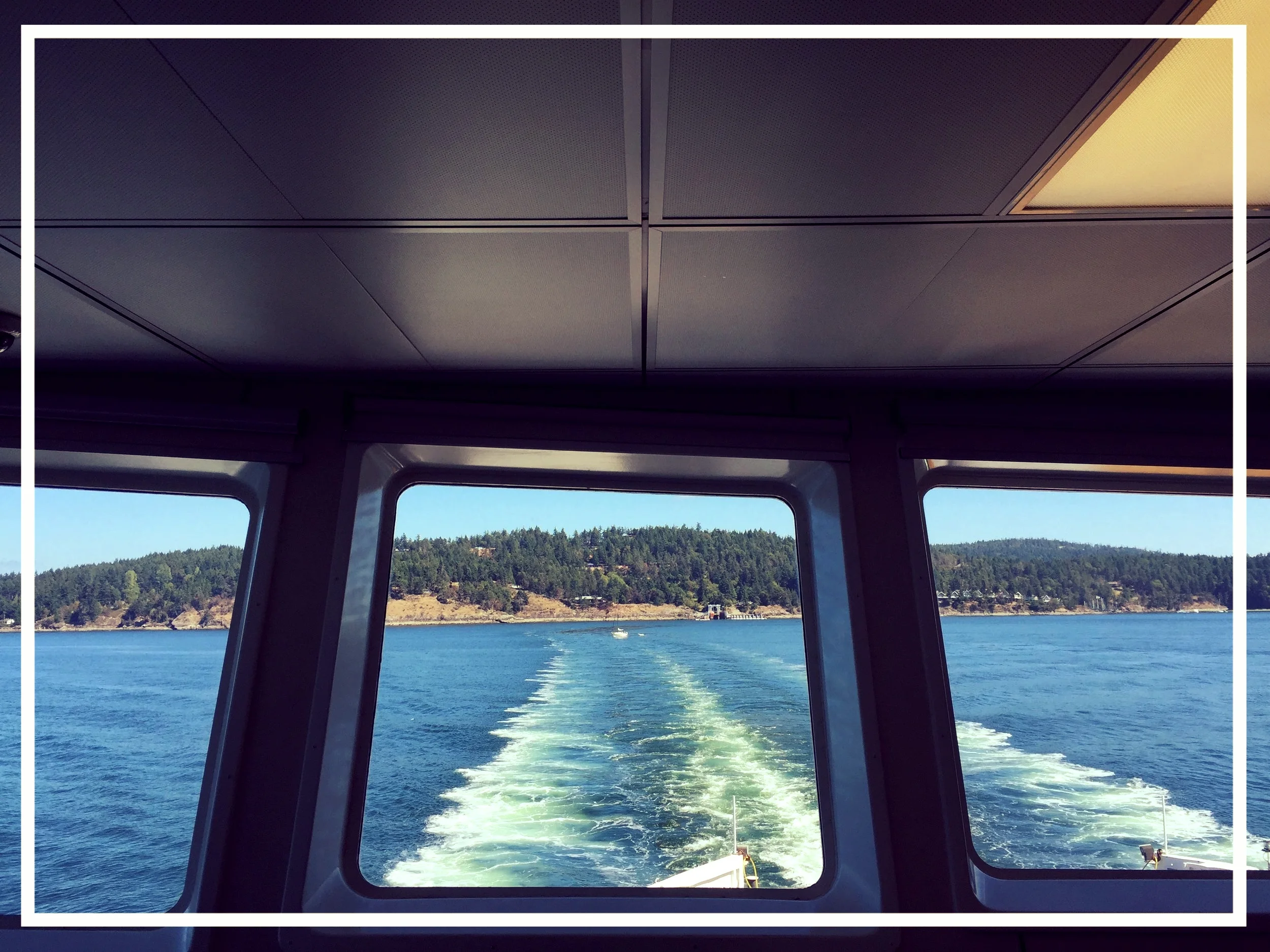 Taken during one of my summer excursions in the Sunshine Coast of British Columbia. 2016.