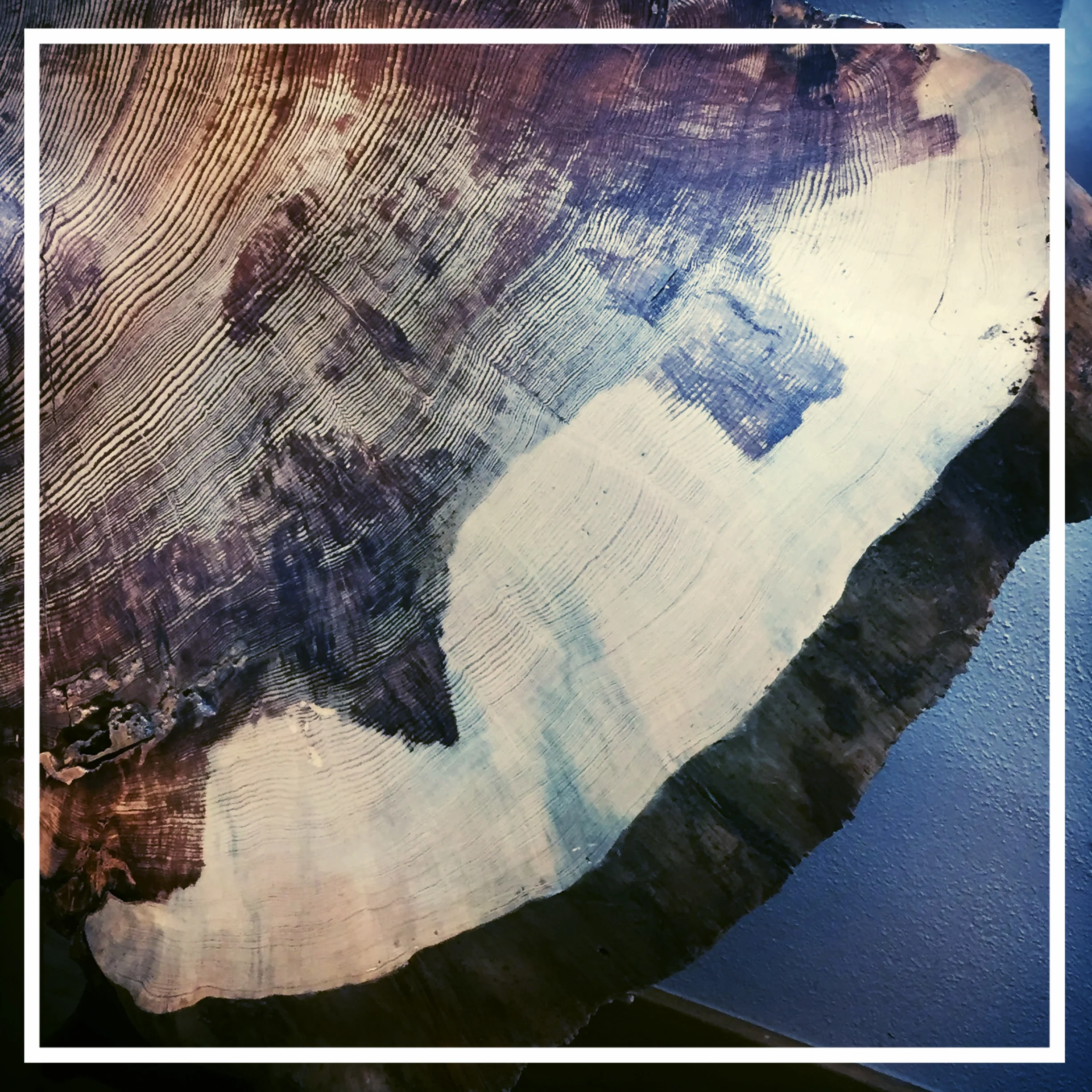 From a workshop on dendrochronology and wildfire. This tree dated to 400 years. I learned how to date a tree based on fire scars. The rings look like the mesas in Arizona or peaks of the Cascades. 