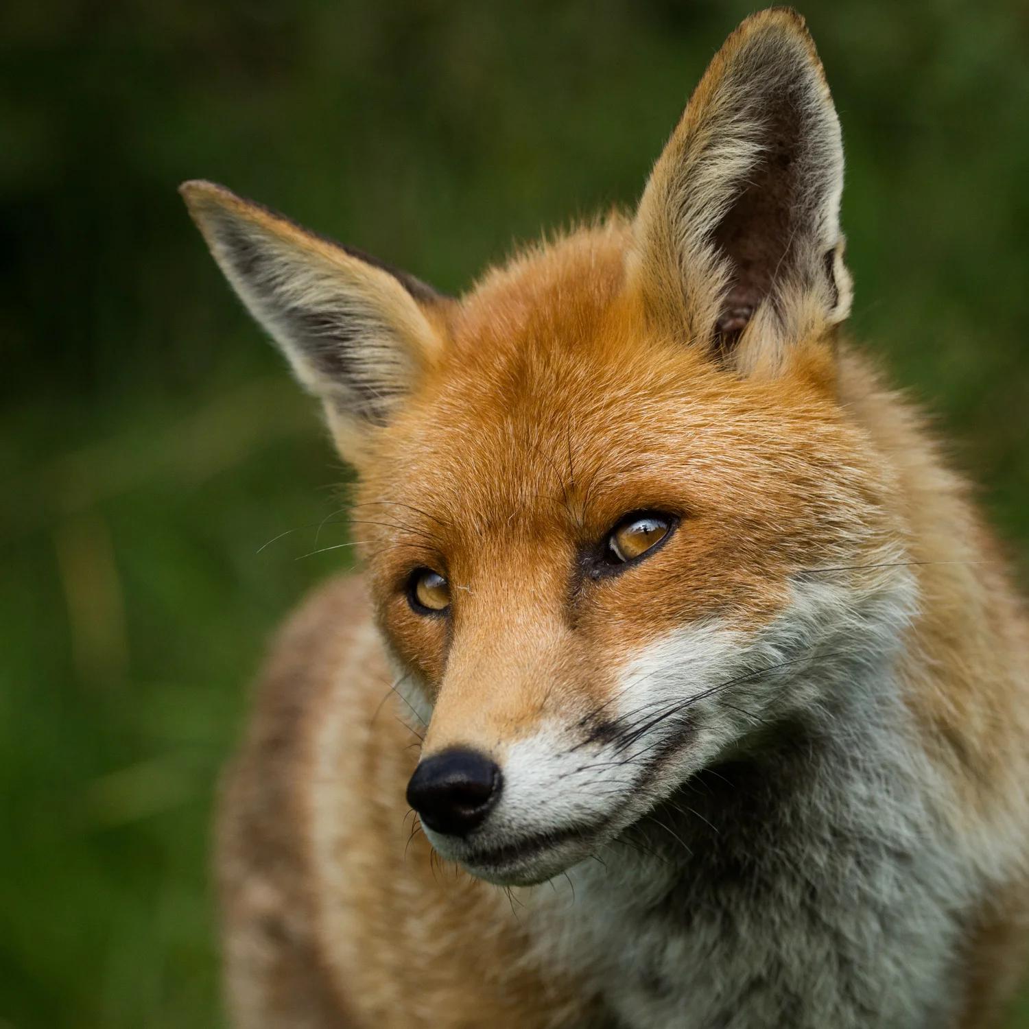 I've got my eye on you!