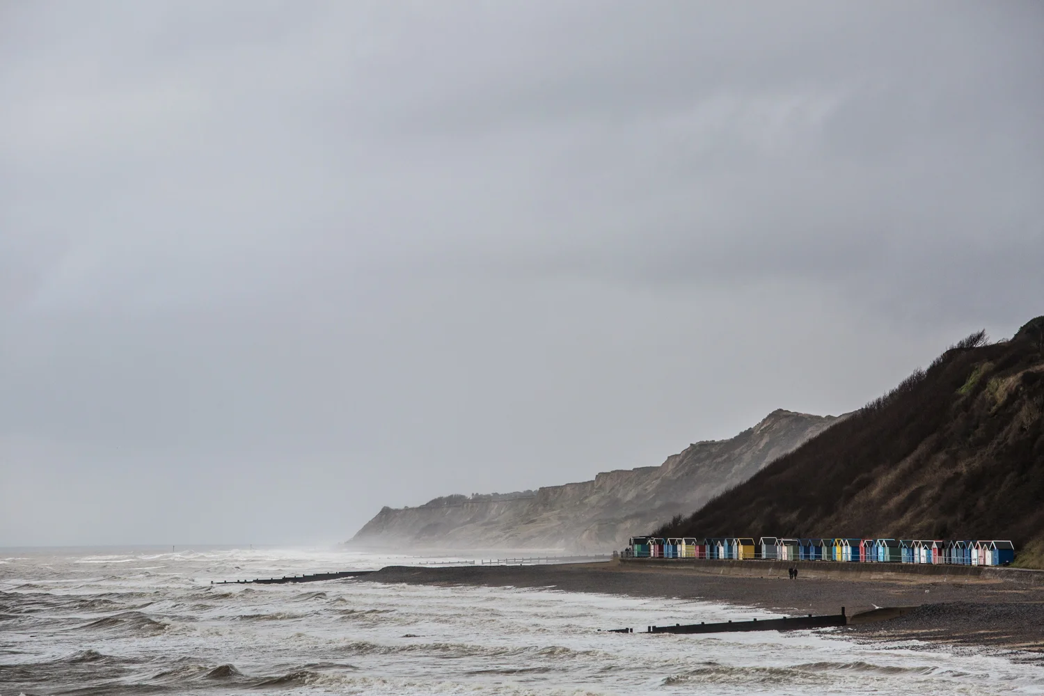 A splash of colour amid the storm