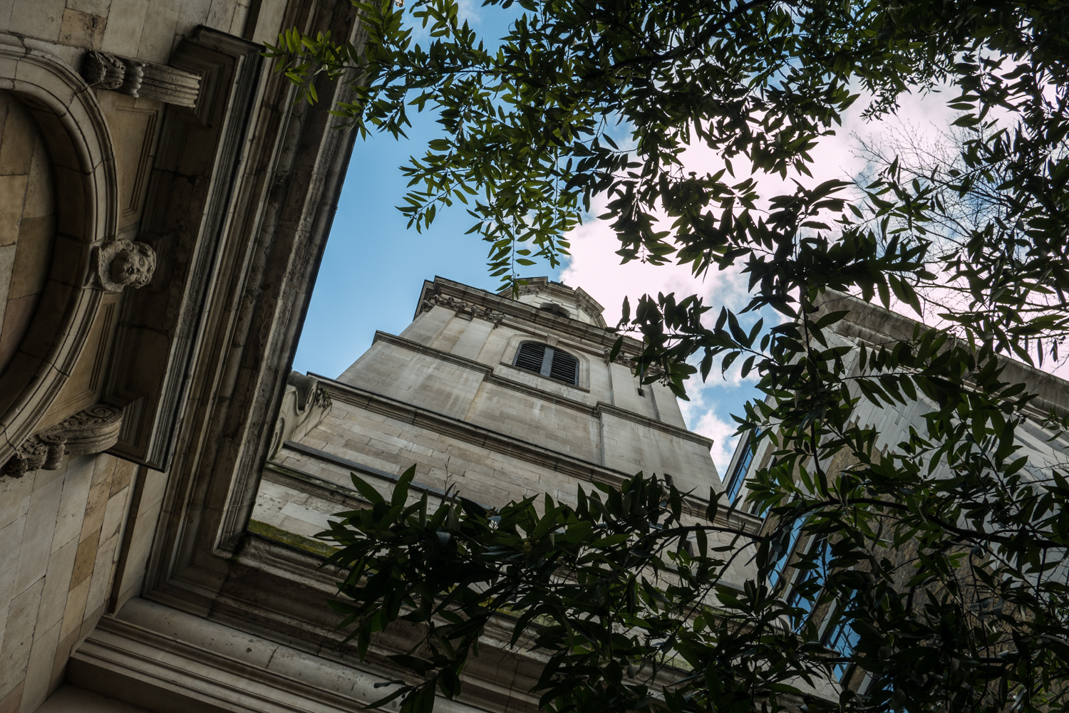 Looking up through the foliage at the tower