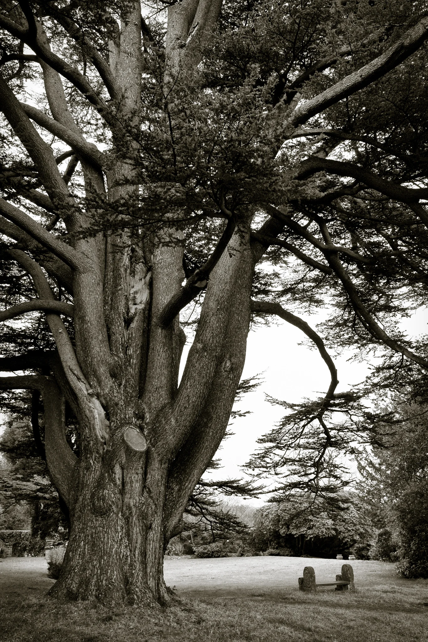 P1420463-Edit.jpg