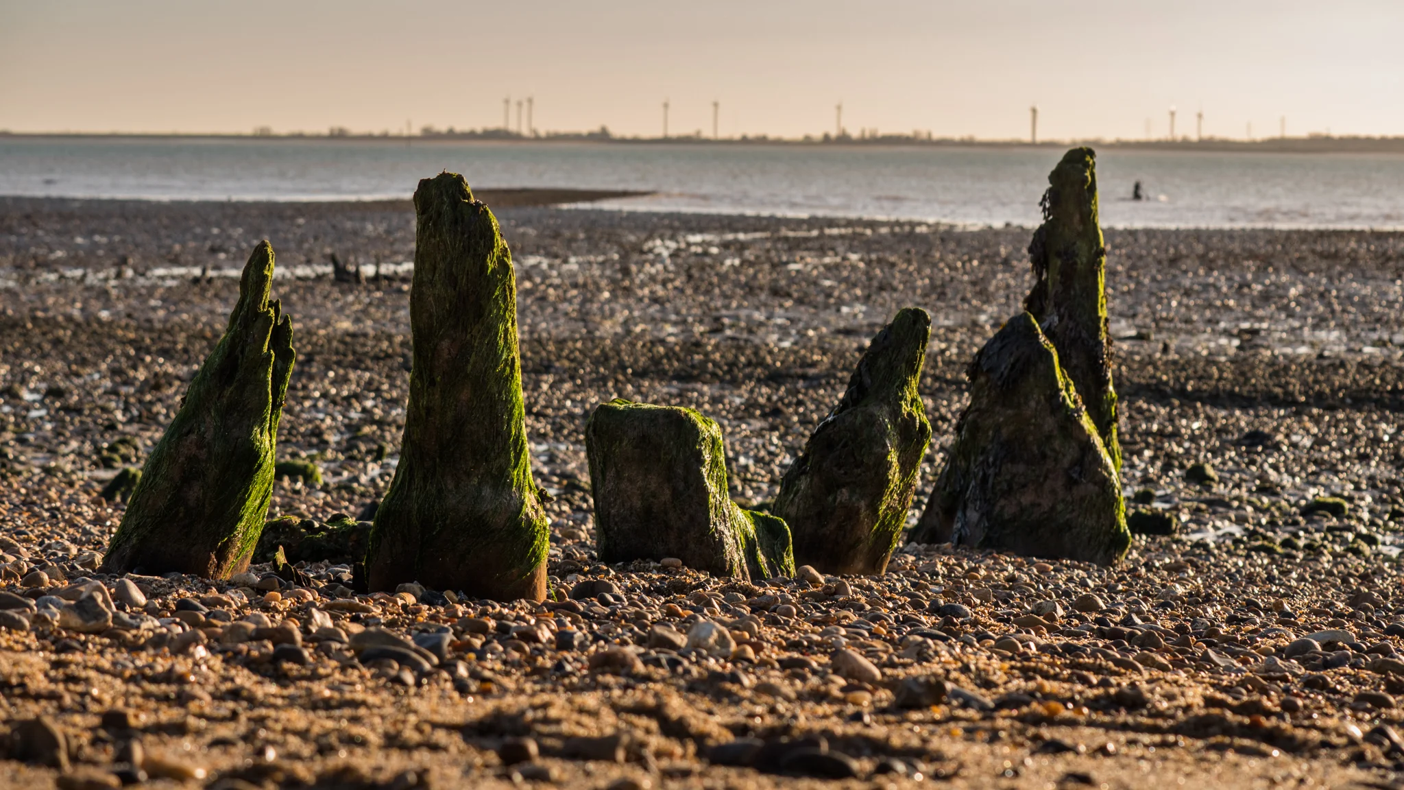 The remains of an old breakwater on the beach