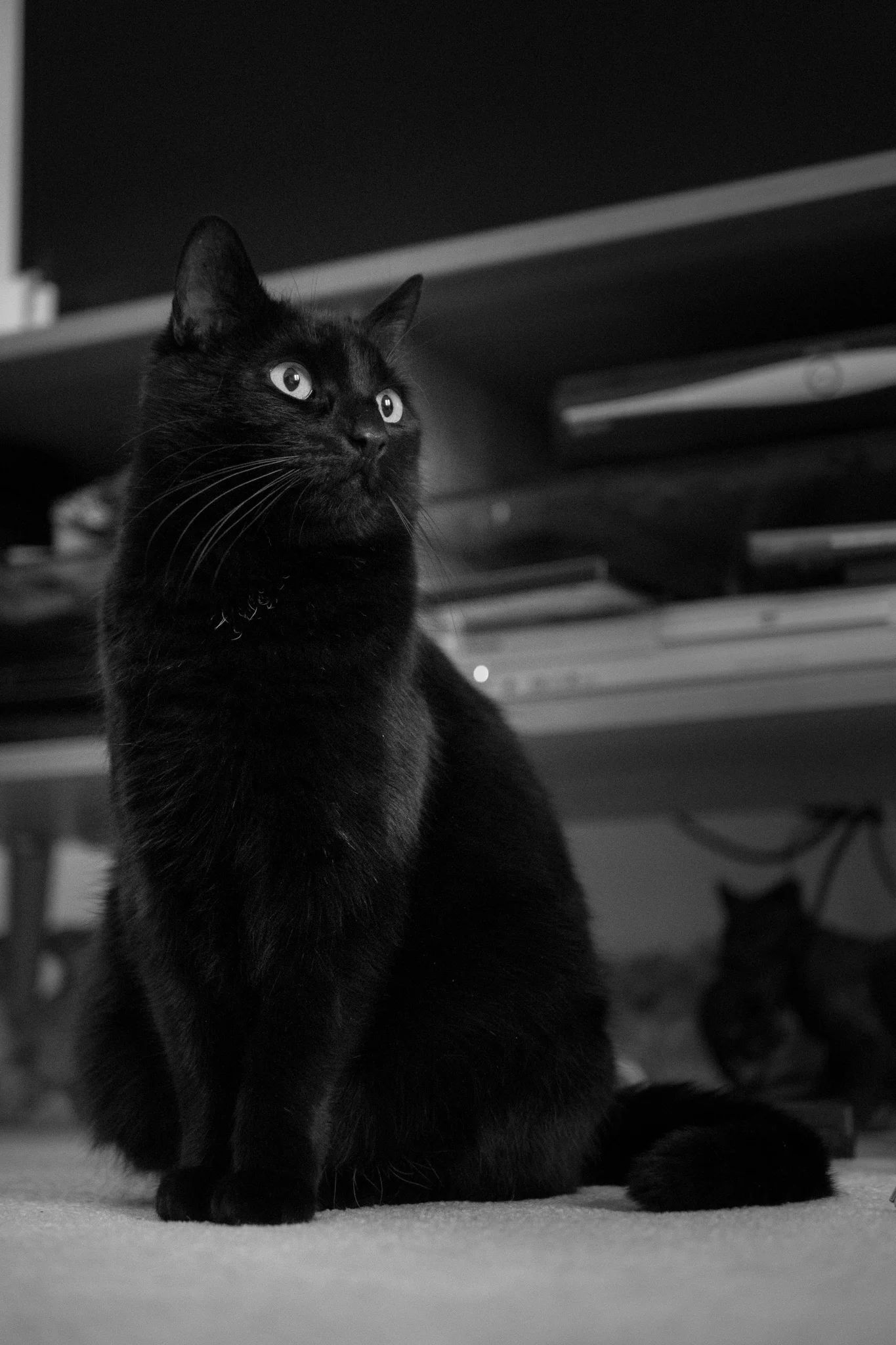 P1430694.jpg
