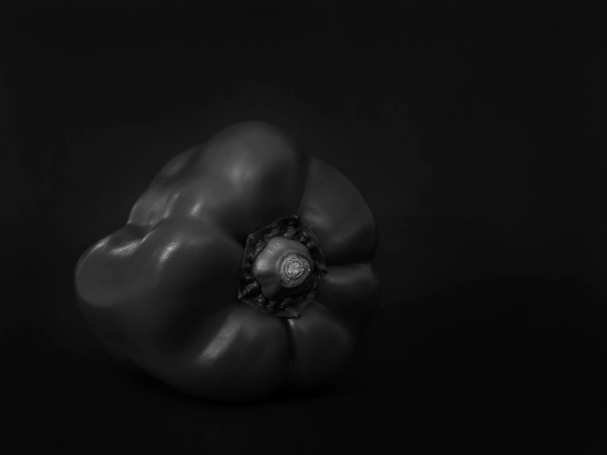 P1430739-2.jpg