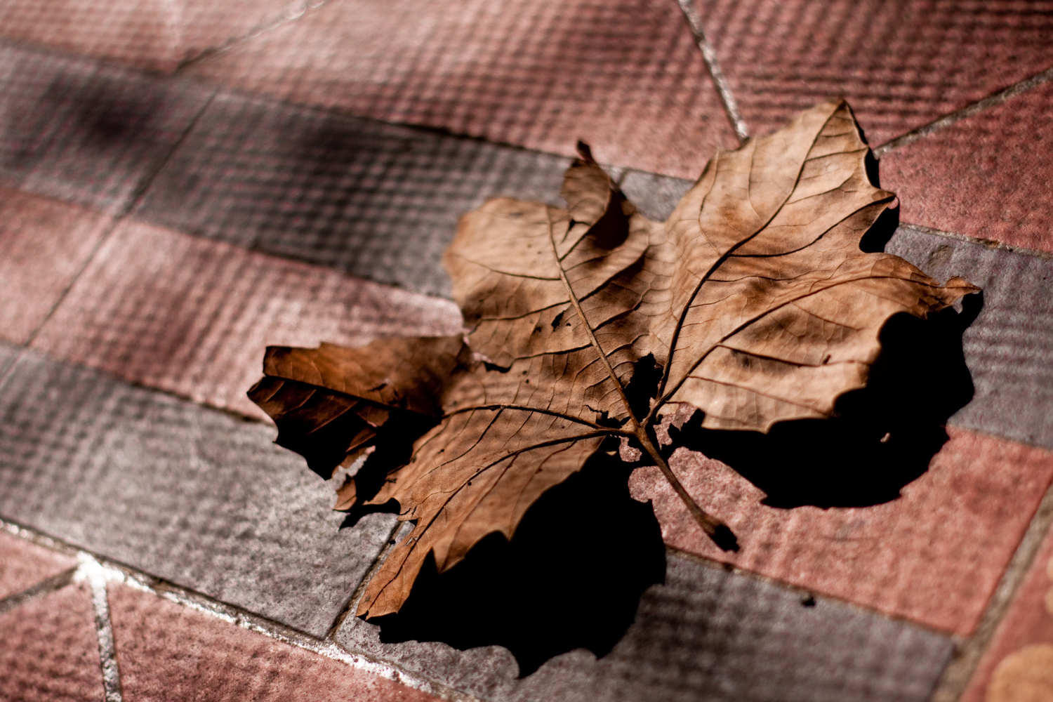 20090323.jpg