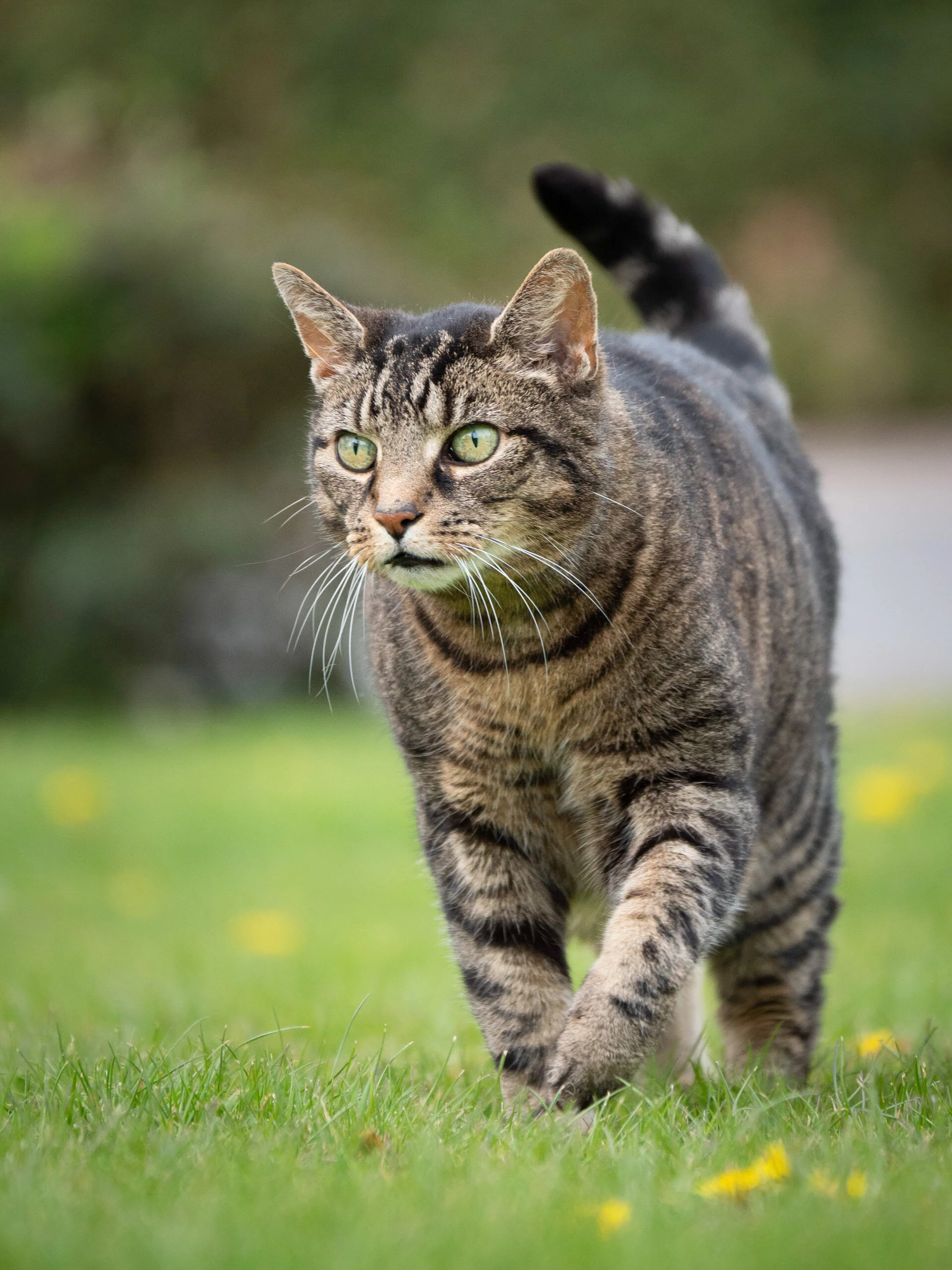 4080C4BE-FD2E-4953-9F35-12A0B1C31CC1