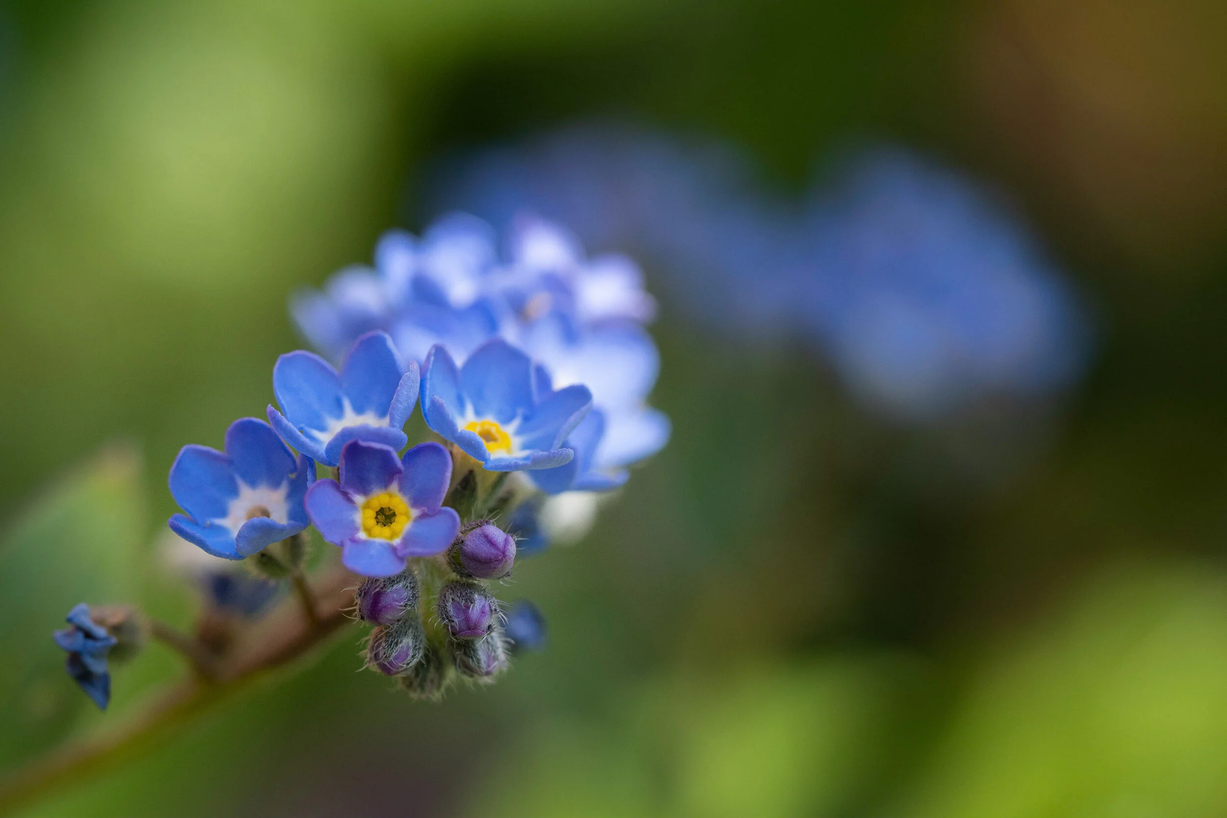 B57A77D1-5E51-47F8-A448-8E2BF1CB1296