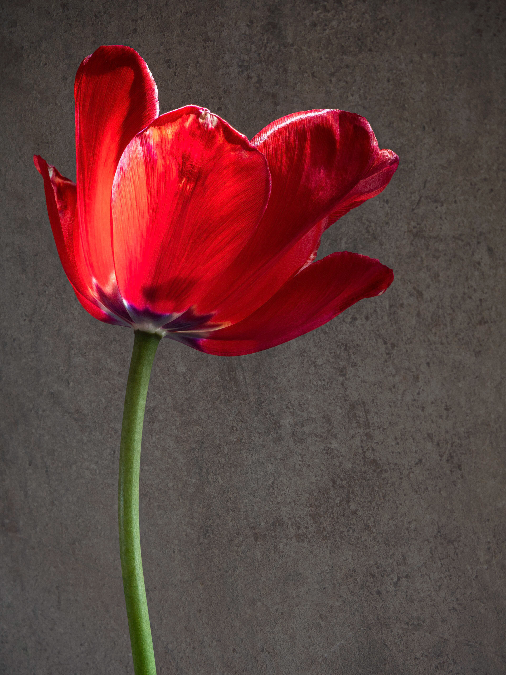 B839F5B4-9E6E-4258-84E5-2B2559892843