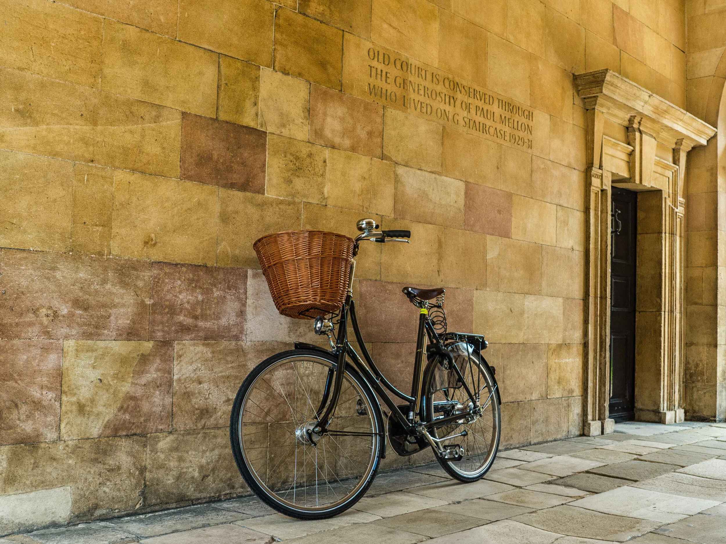 55A7681A-6F50-4D3A-99D0-4B70F978C4E1