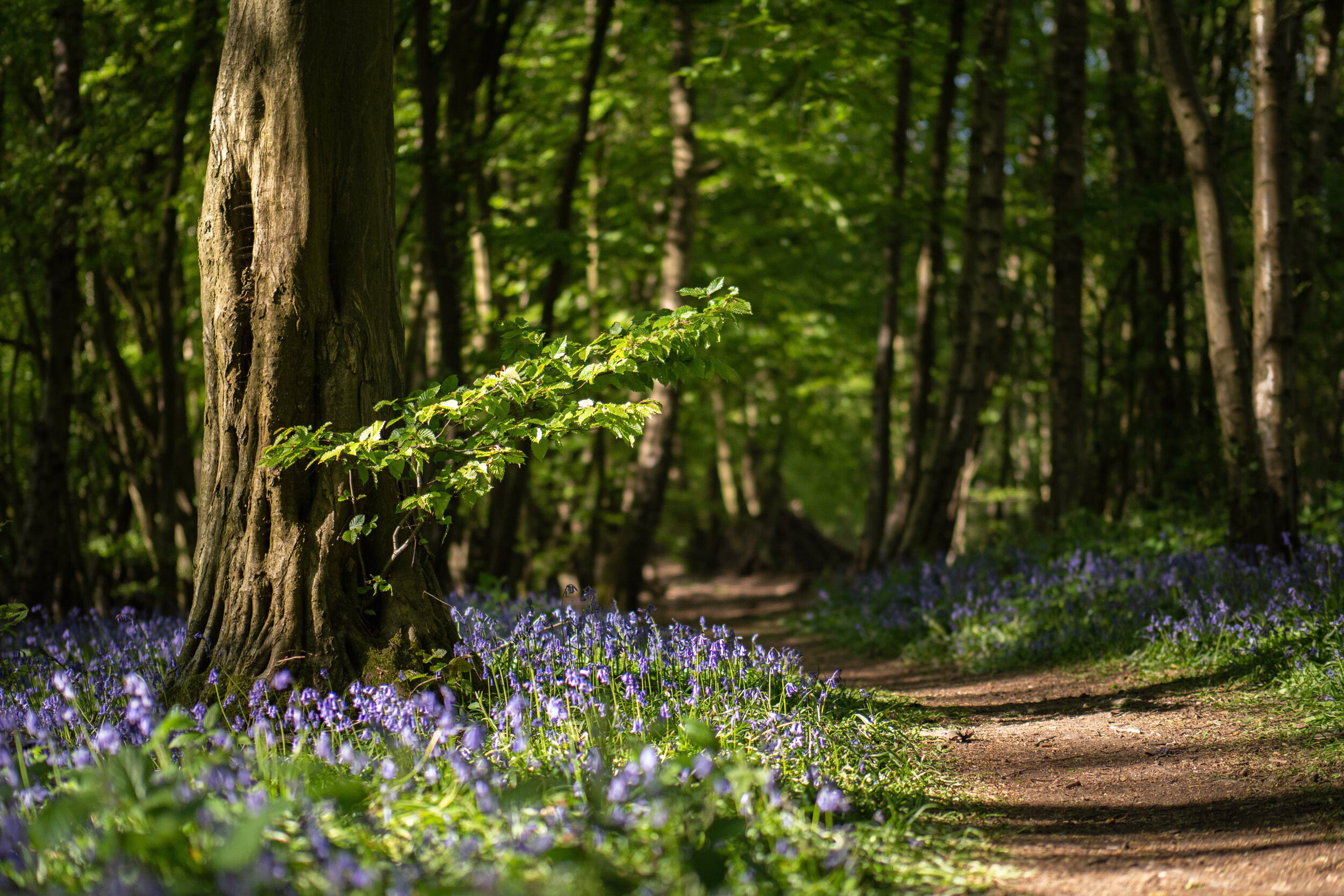 422DA673-49EA-44BF-A720-3BA88227EF43