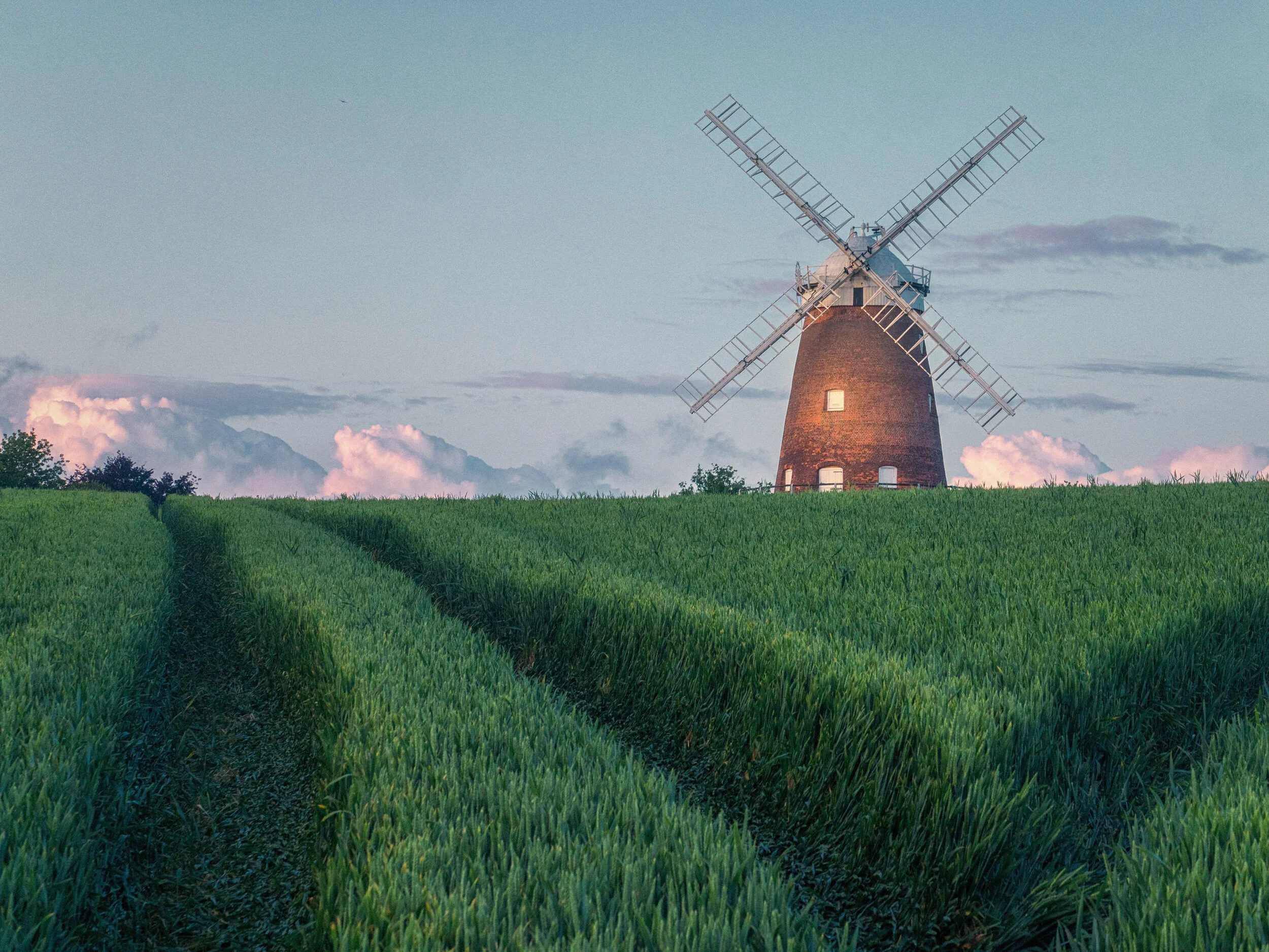 0442EFB8-C85A-43C8-882A-FE075329F0E7